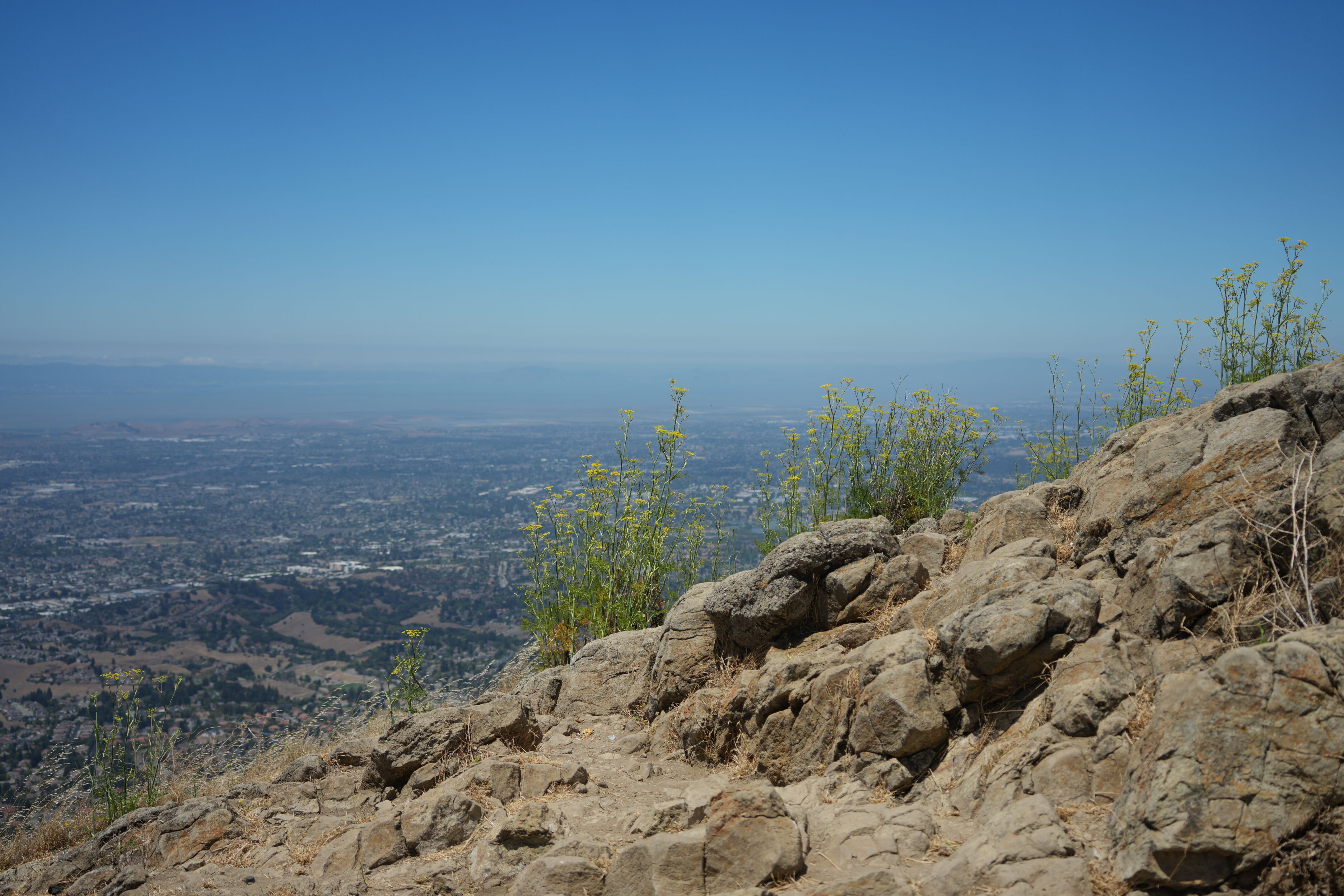 Ohlone Wilderness Trail