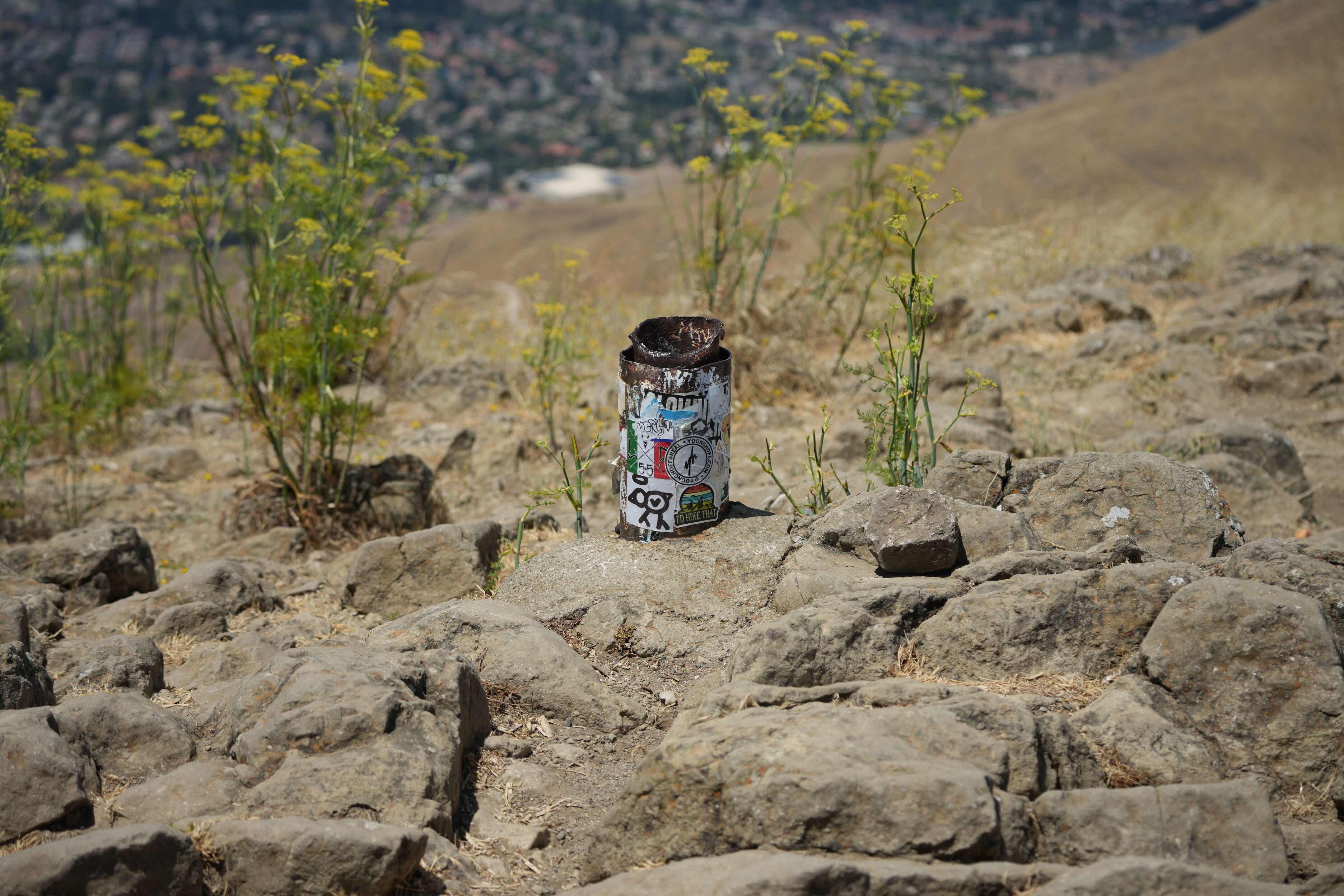 Ohlone Wilderness Trail