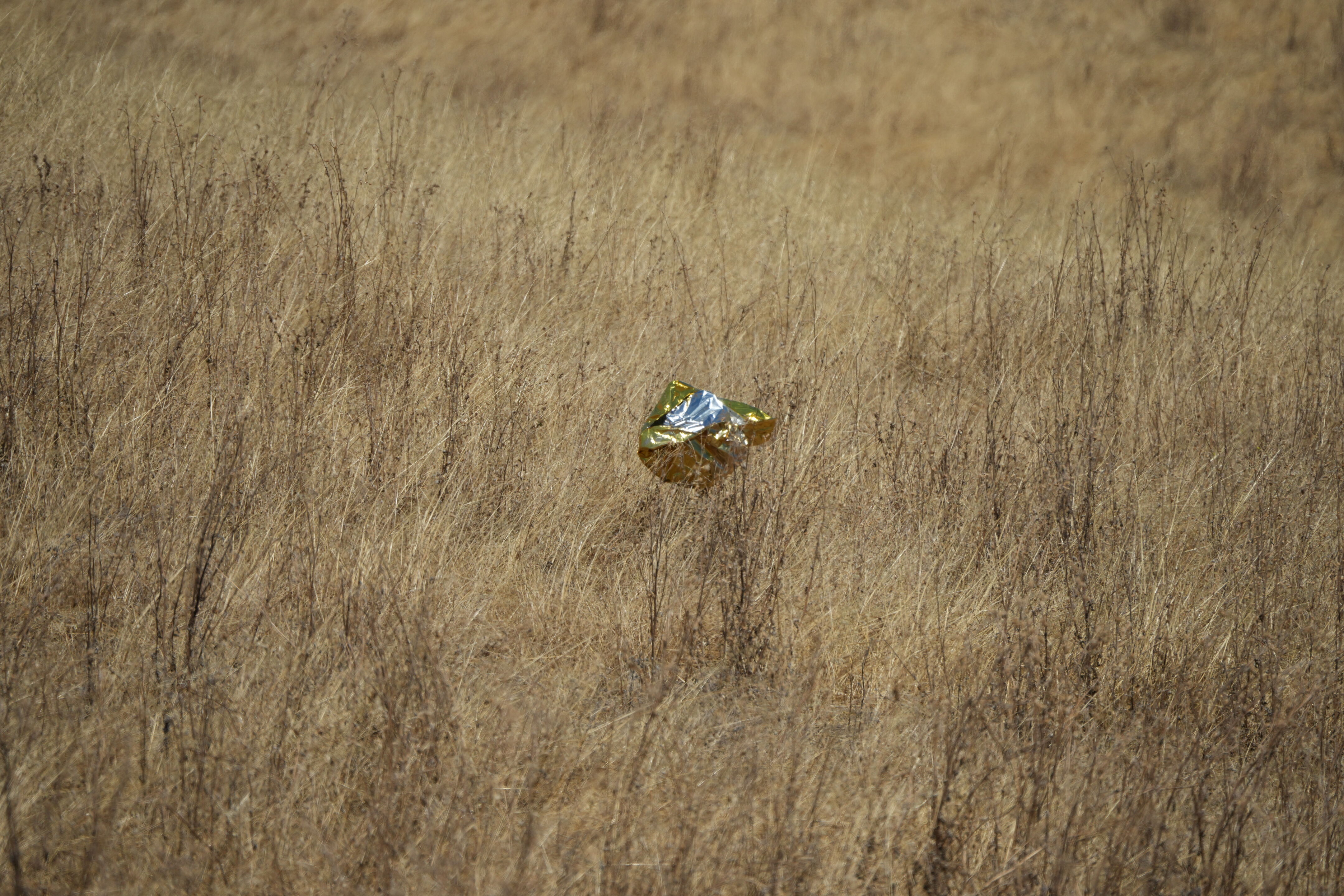 Ohlone Wilderness Trail