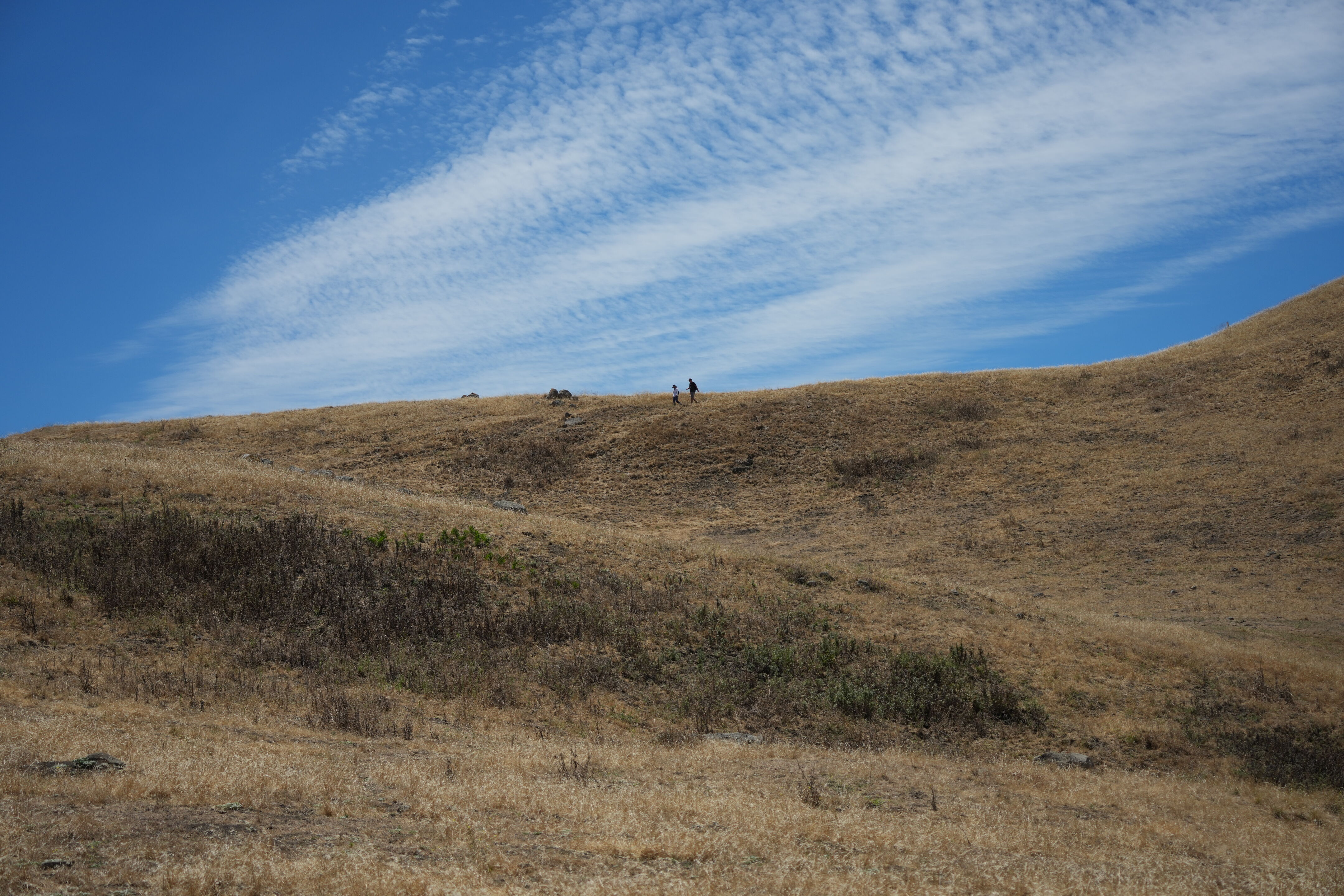 Ohlone Wilderness Trail