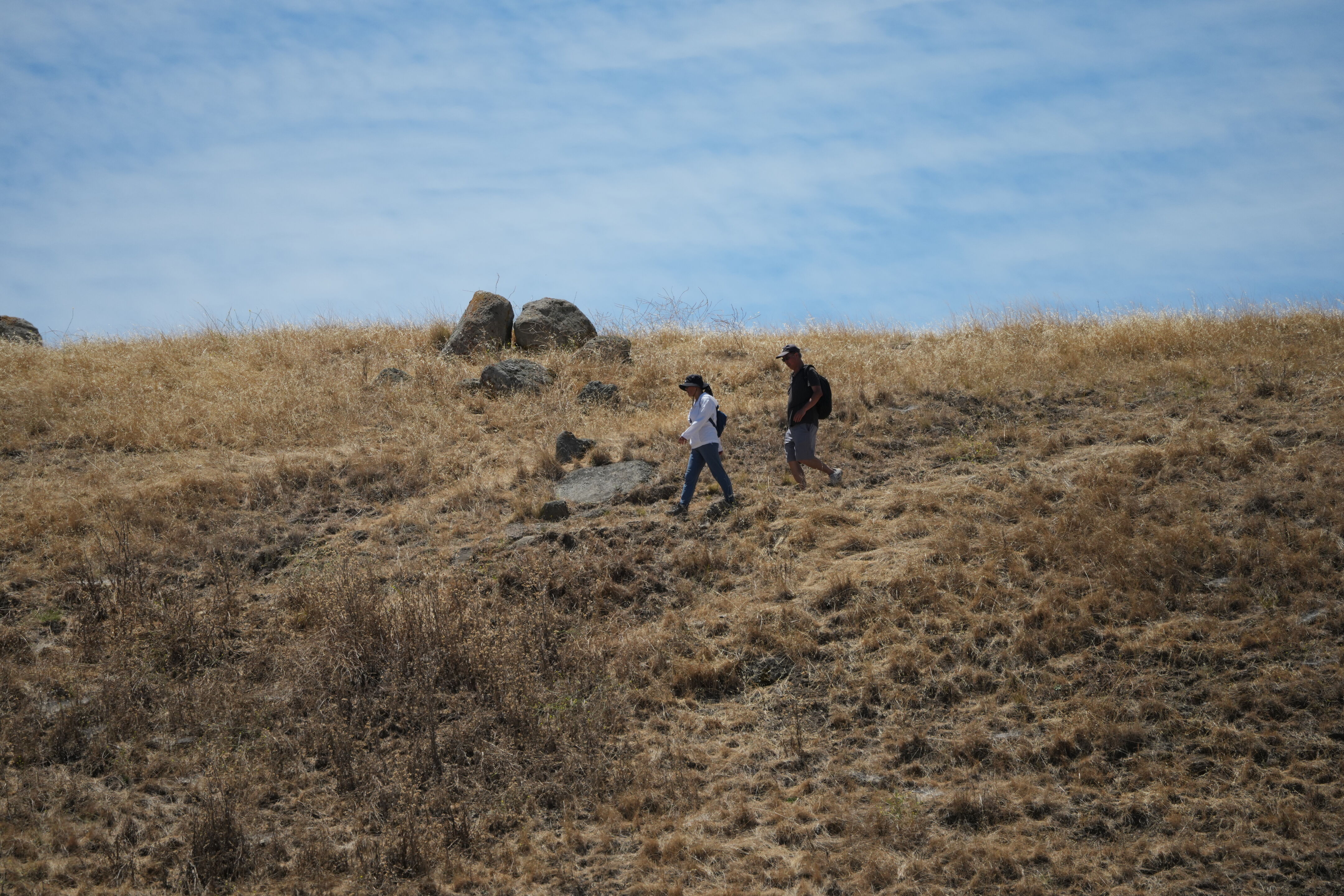 Ohlone Wilderness Trail