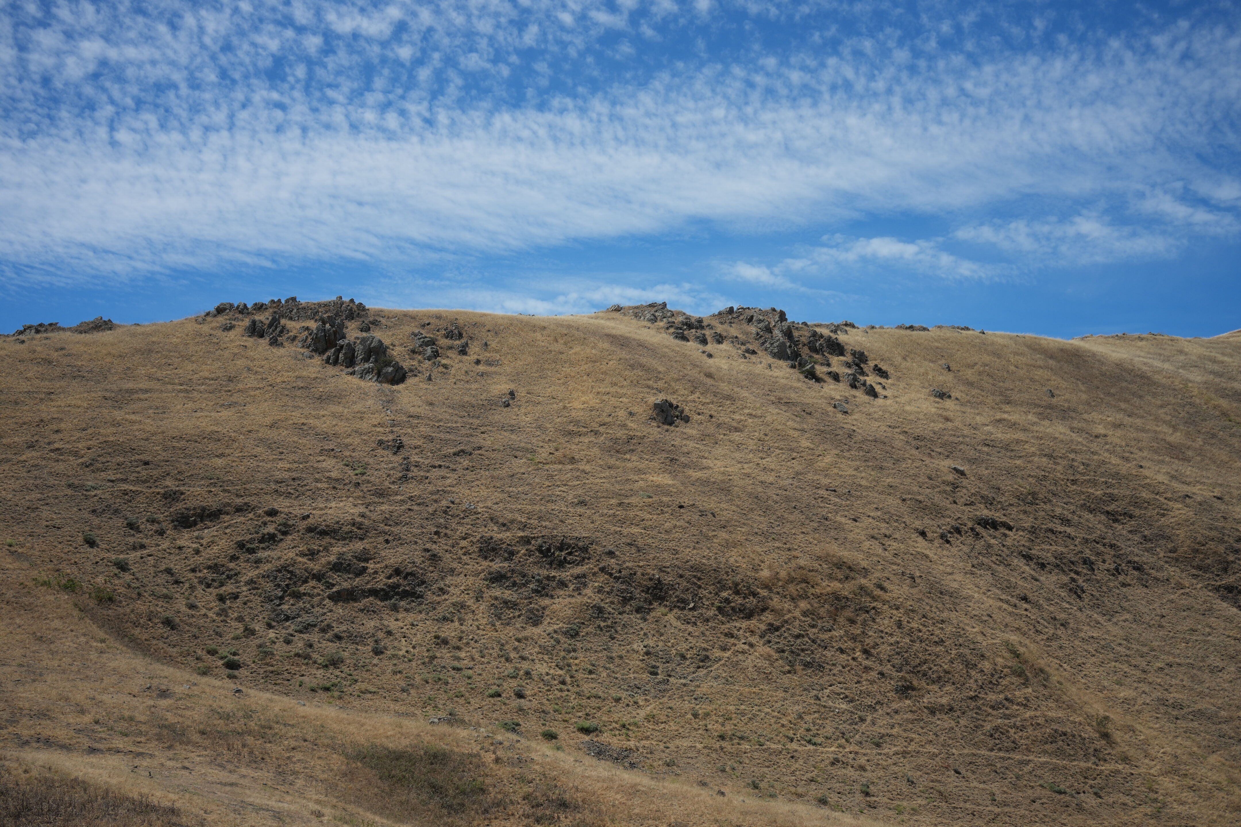 Ohlone Wilderness Trail