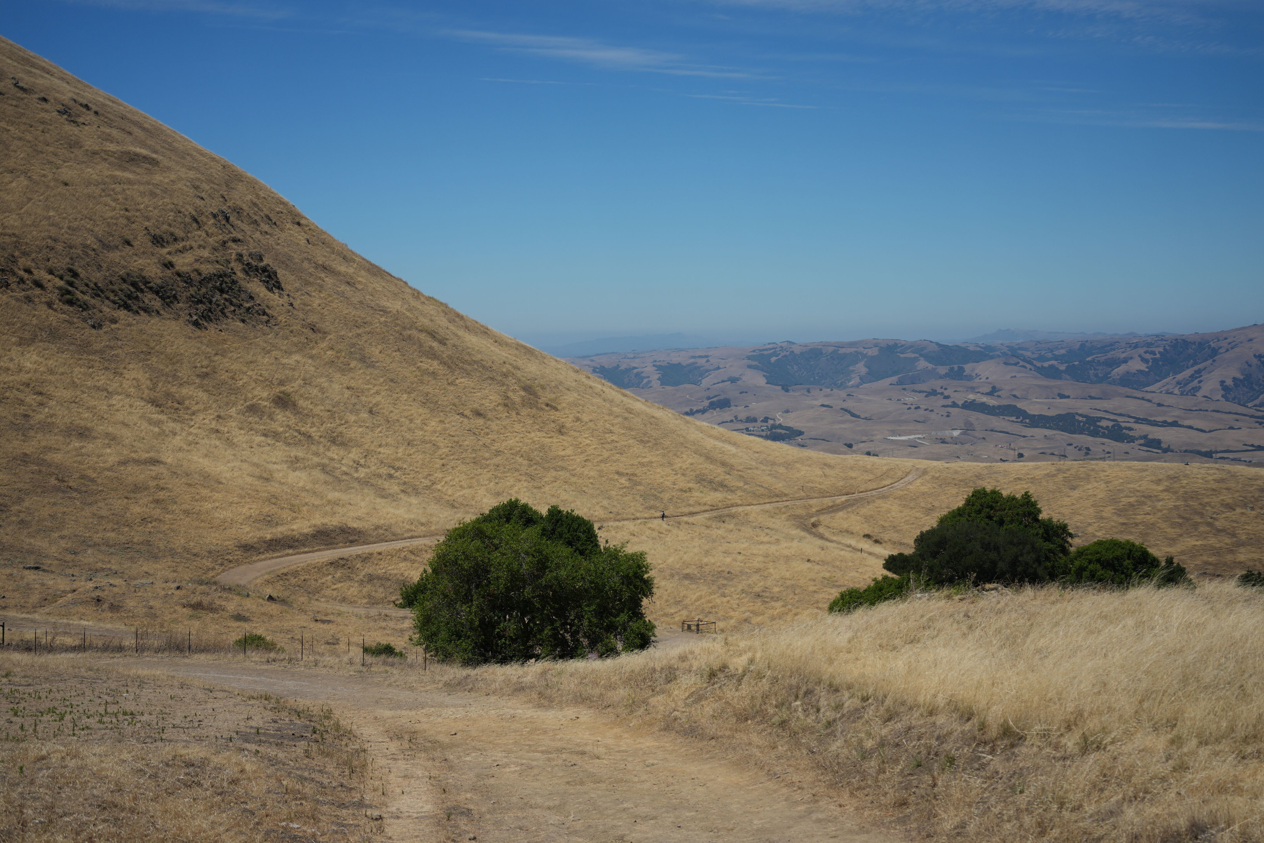 Ohlone Wilderness Trail
