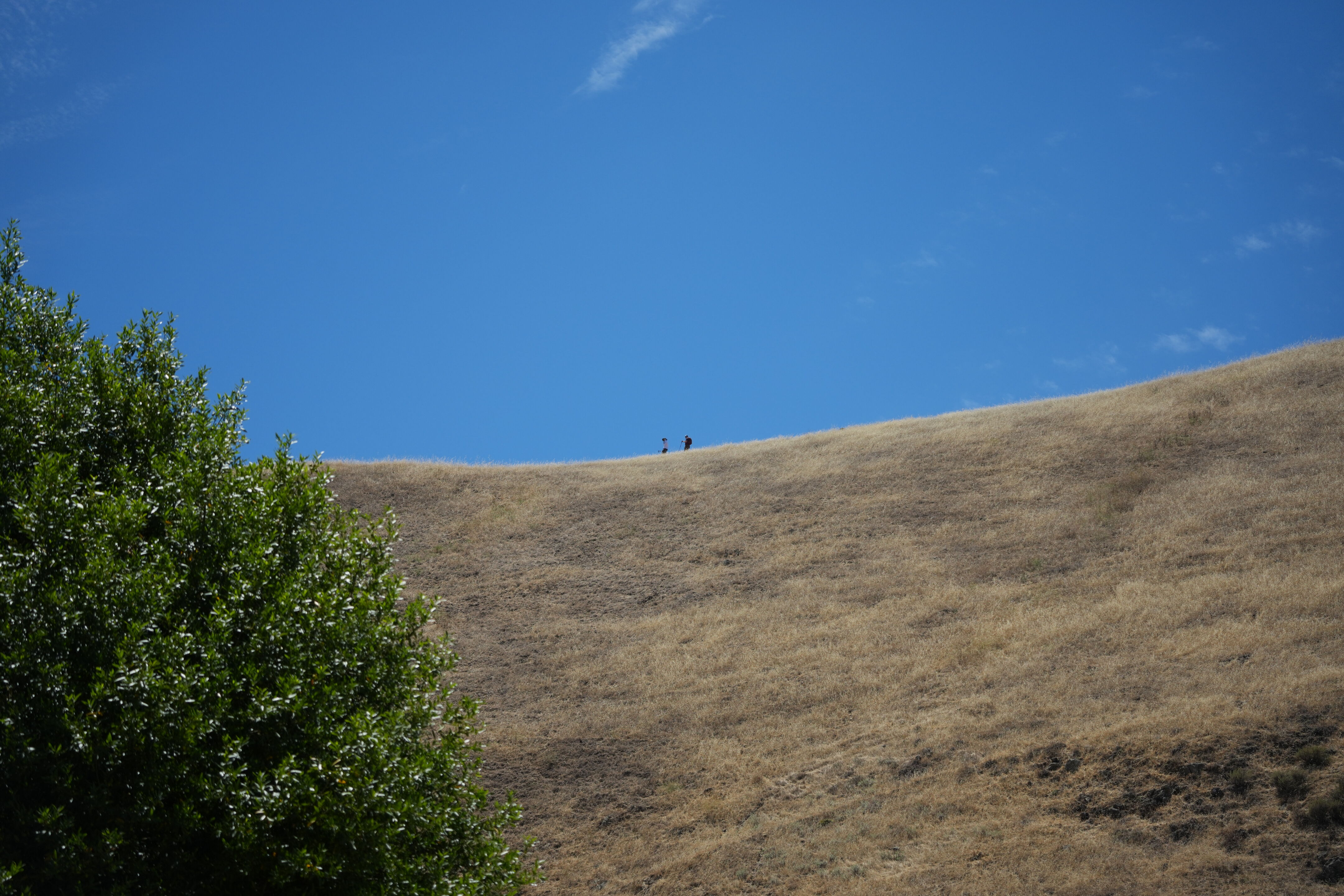 Ohlone Wilderness Trail