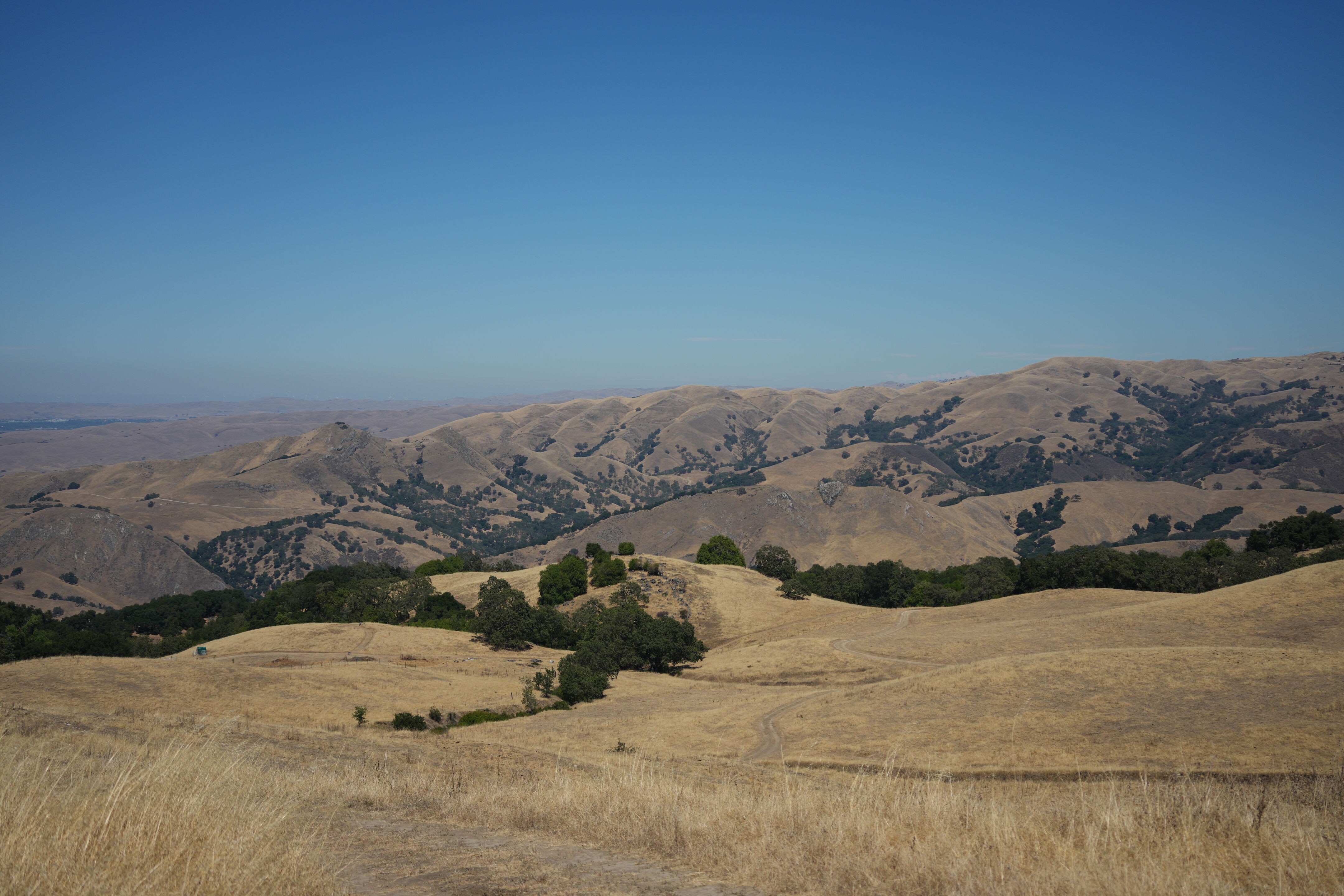 Ohlone Wilderness Trail