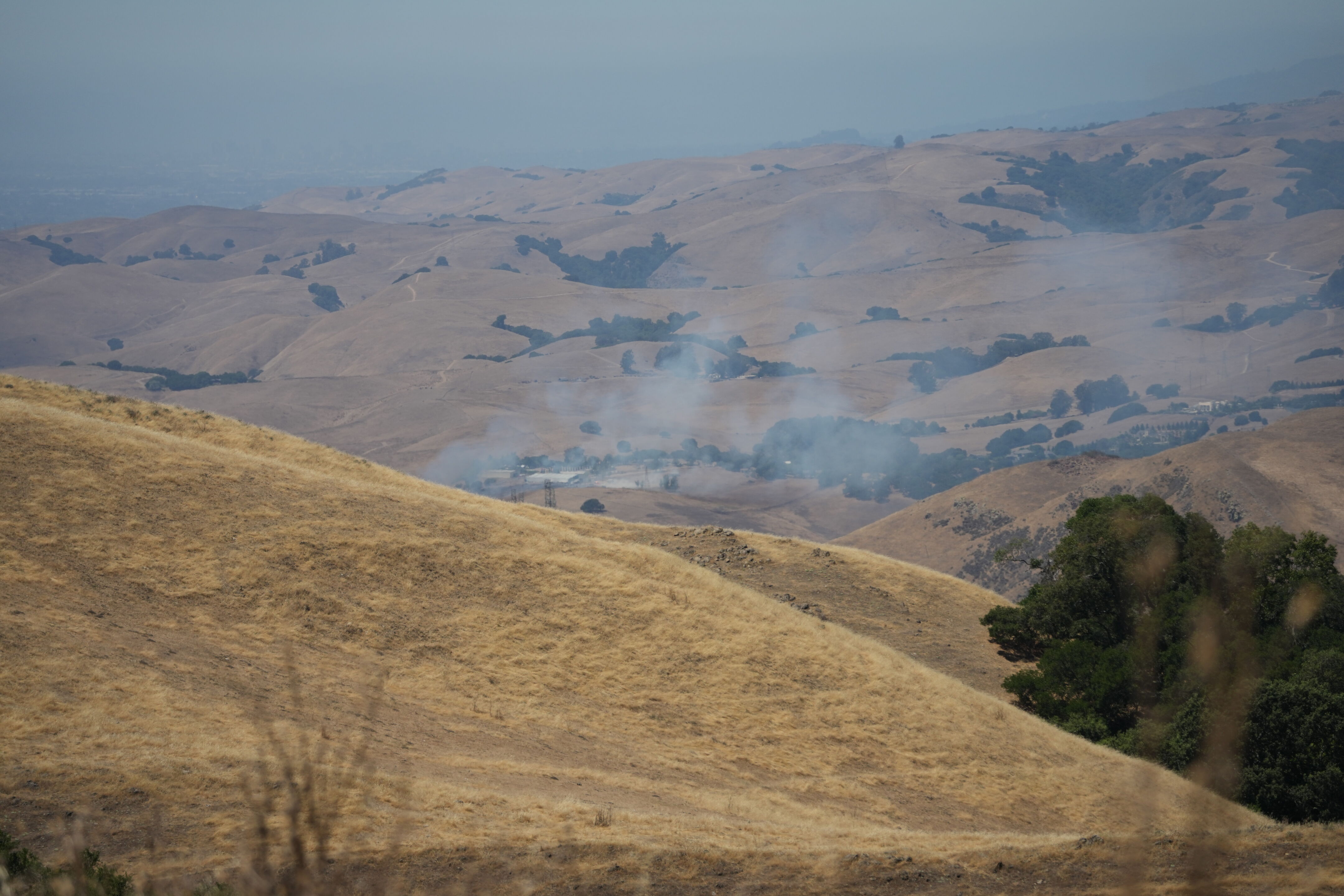 Ohlone Wilderness Trail
