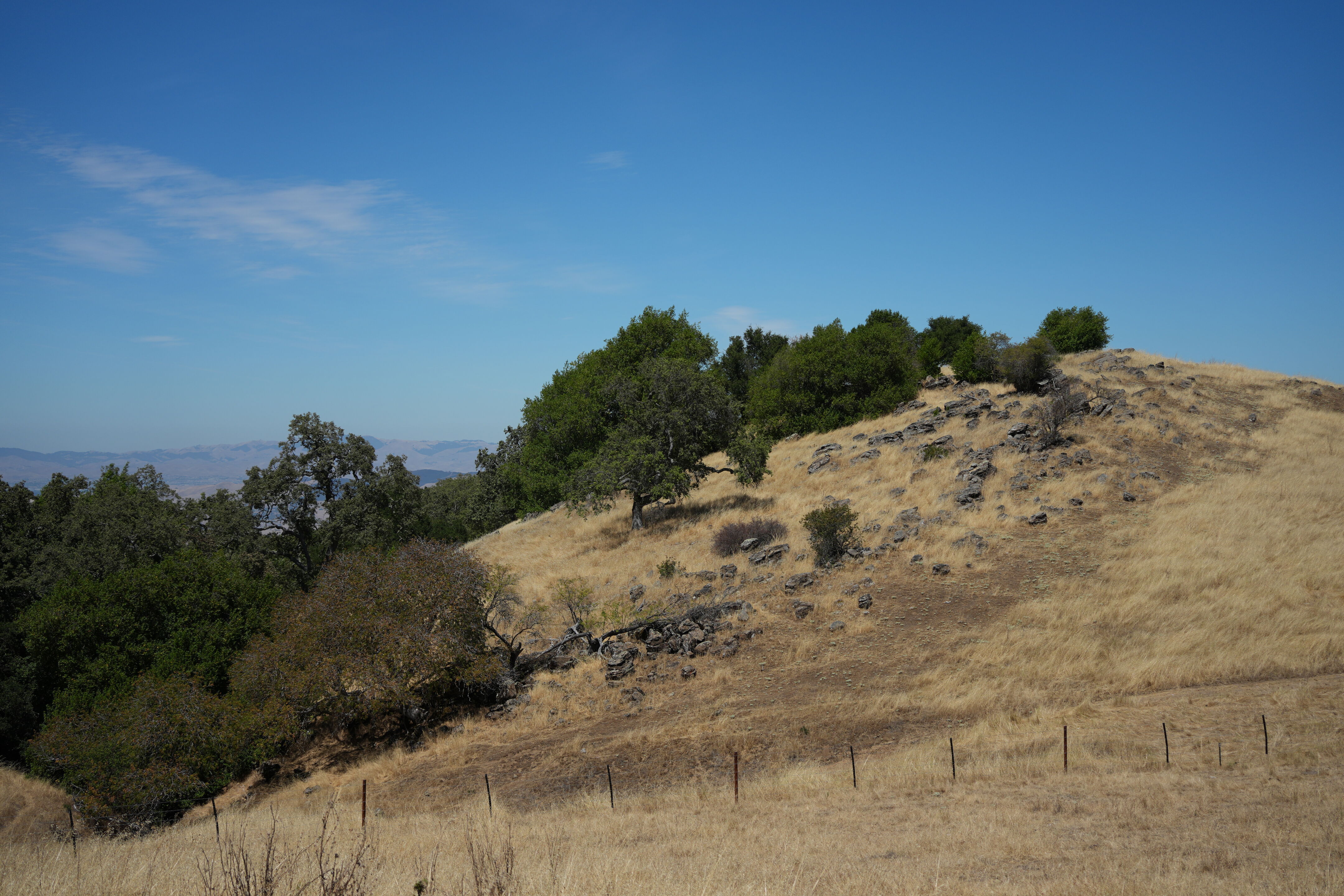 Ohlone Wilderness Trail