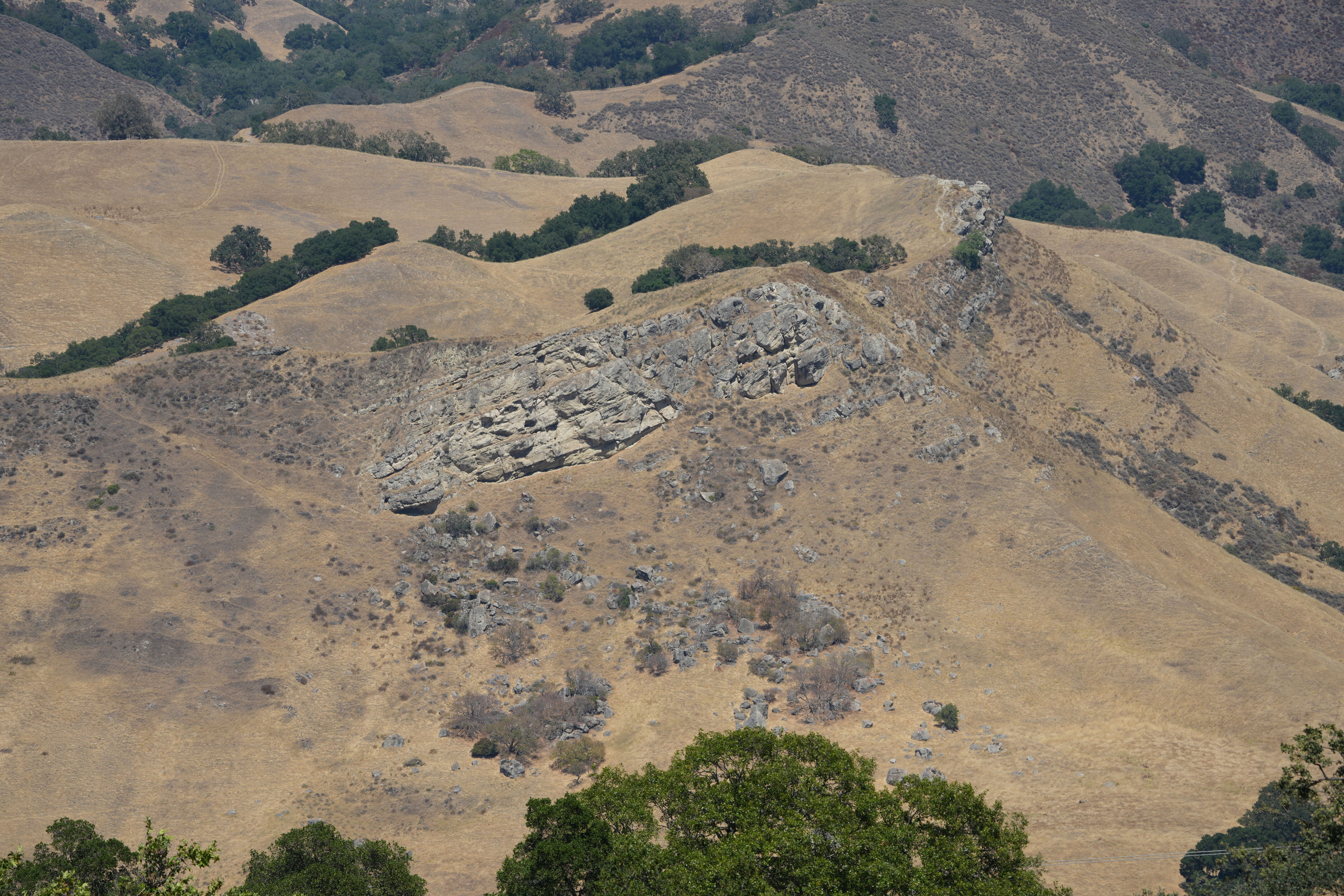 Ohlone Wilderness Trail