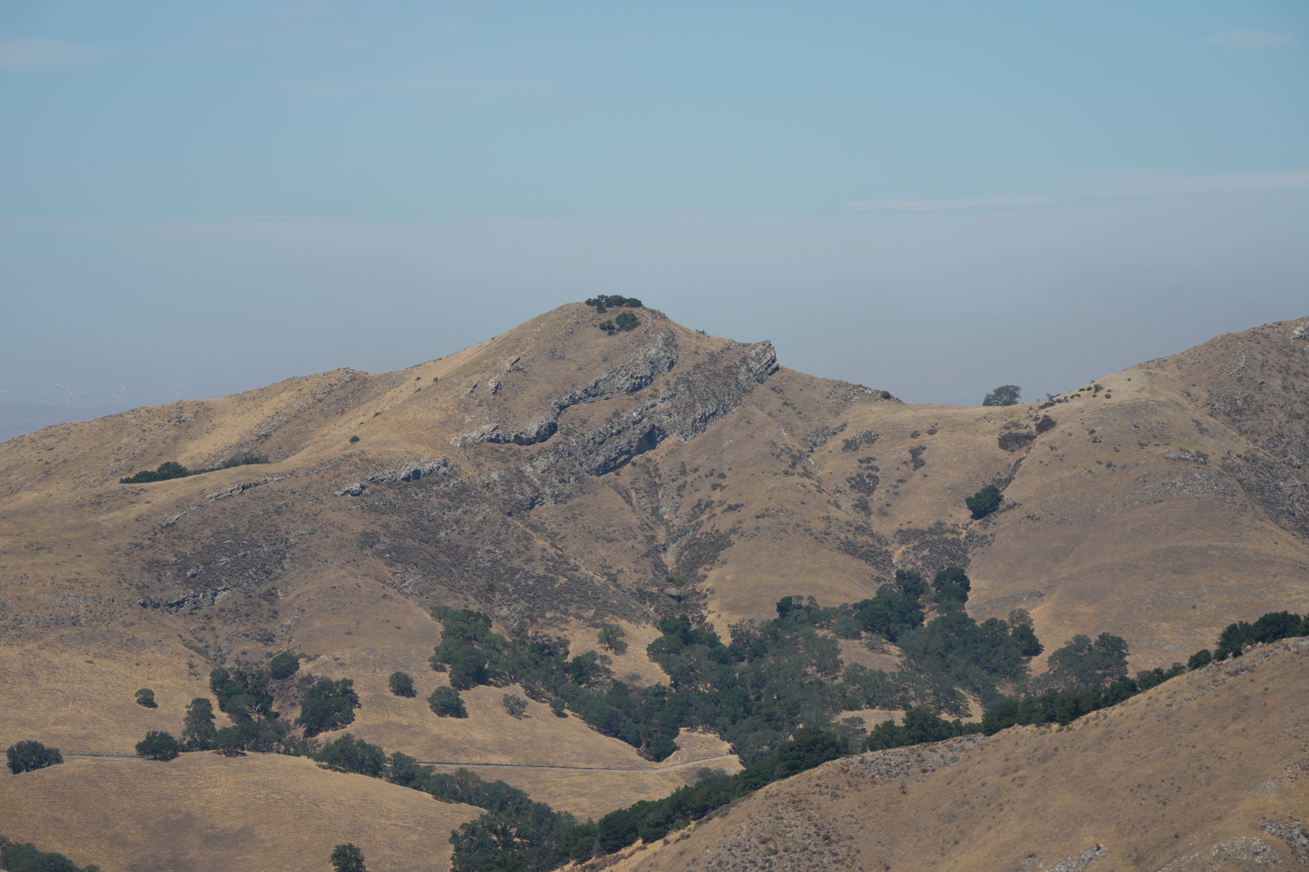 Ohlone Wilderness Trail