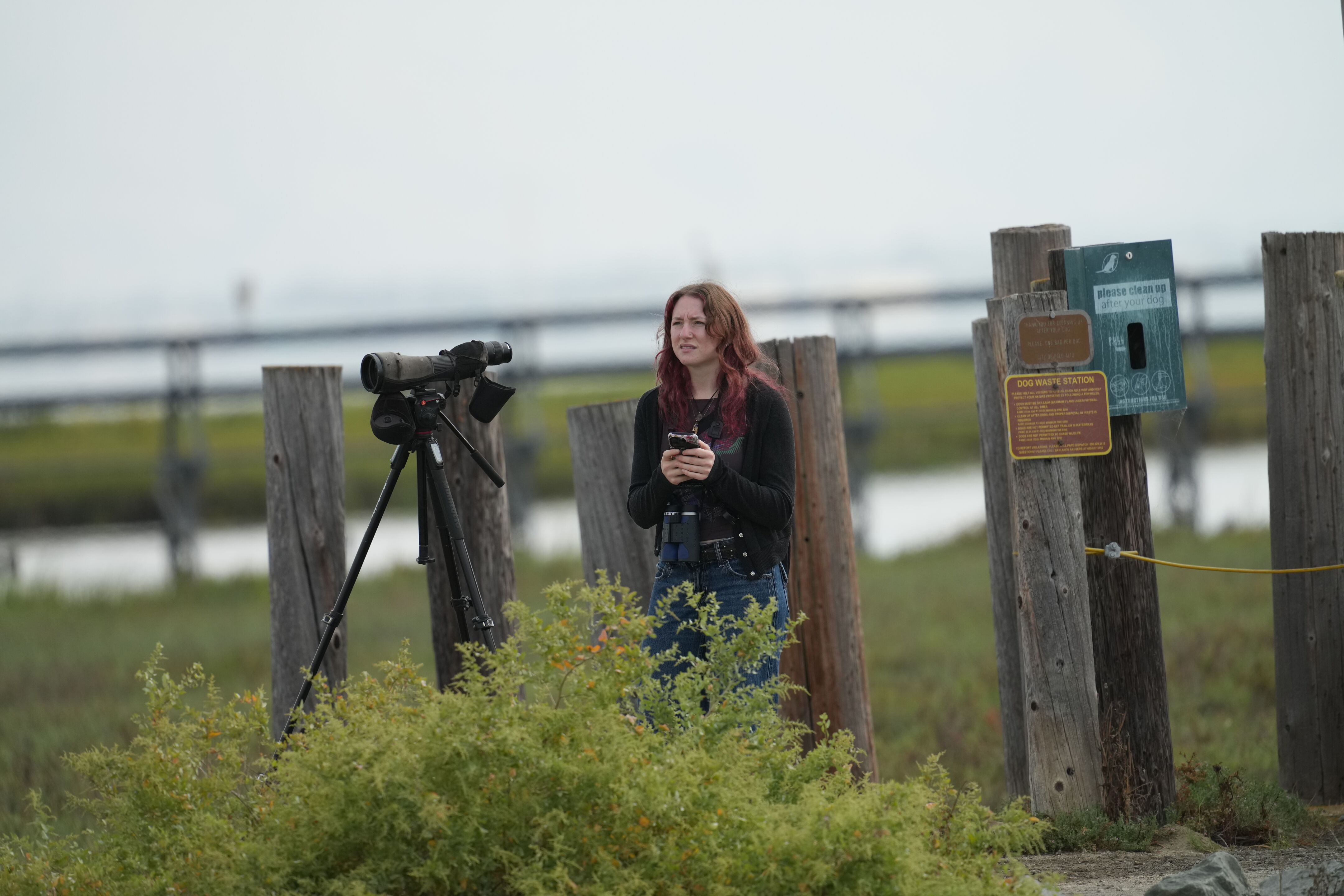 Baylands Nature Preserve