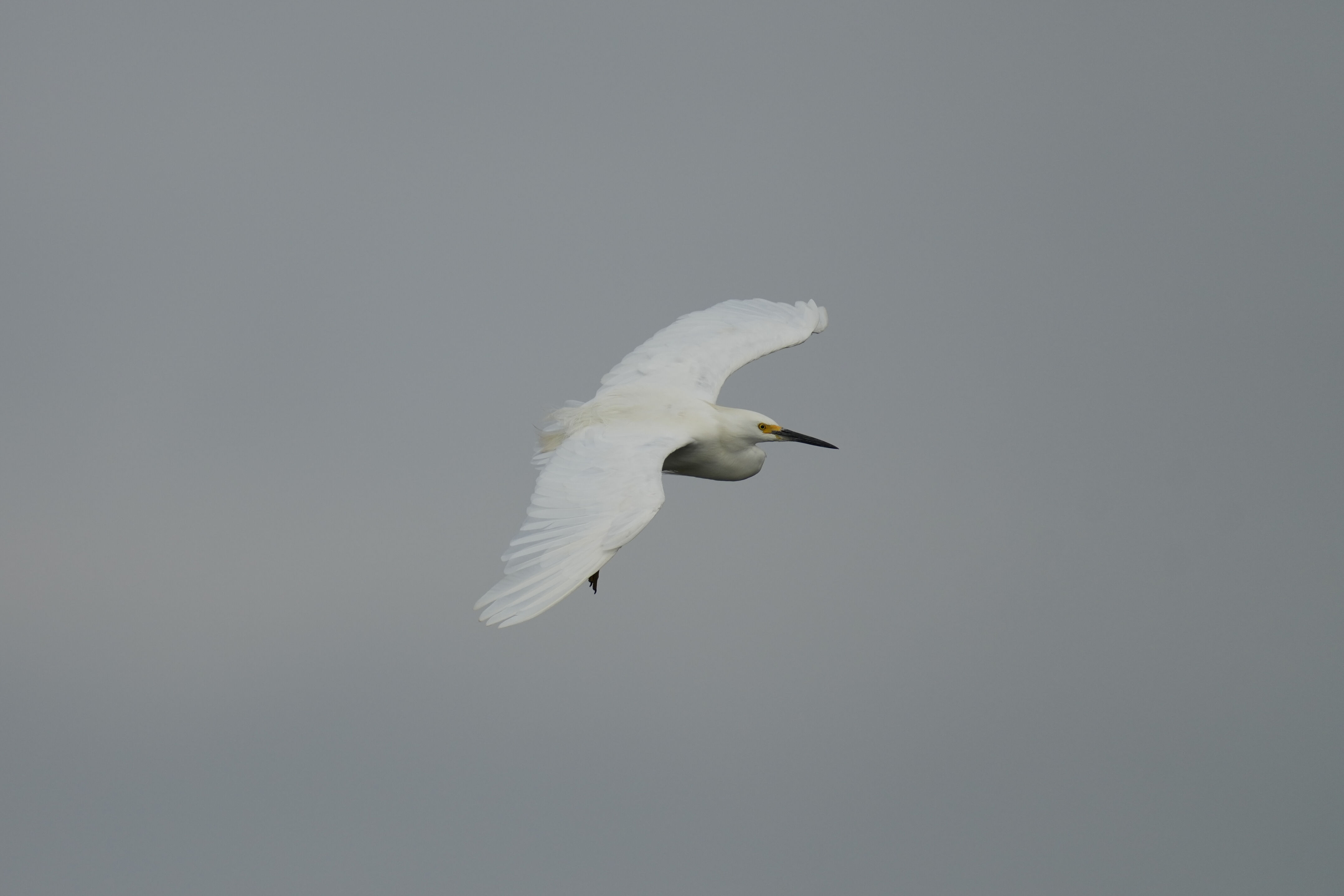 Baylands Nature Preserve