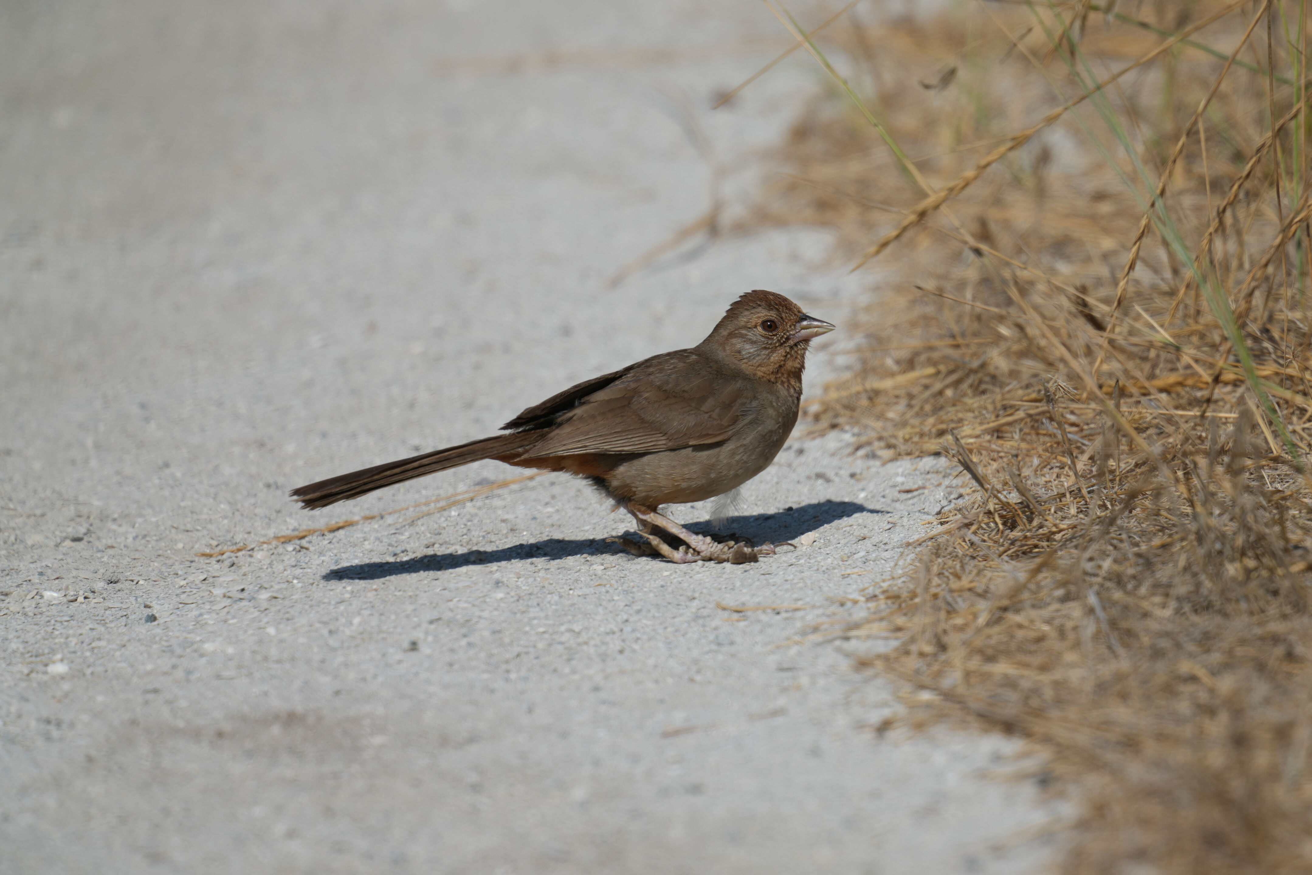 Baylands Nature Preserve