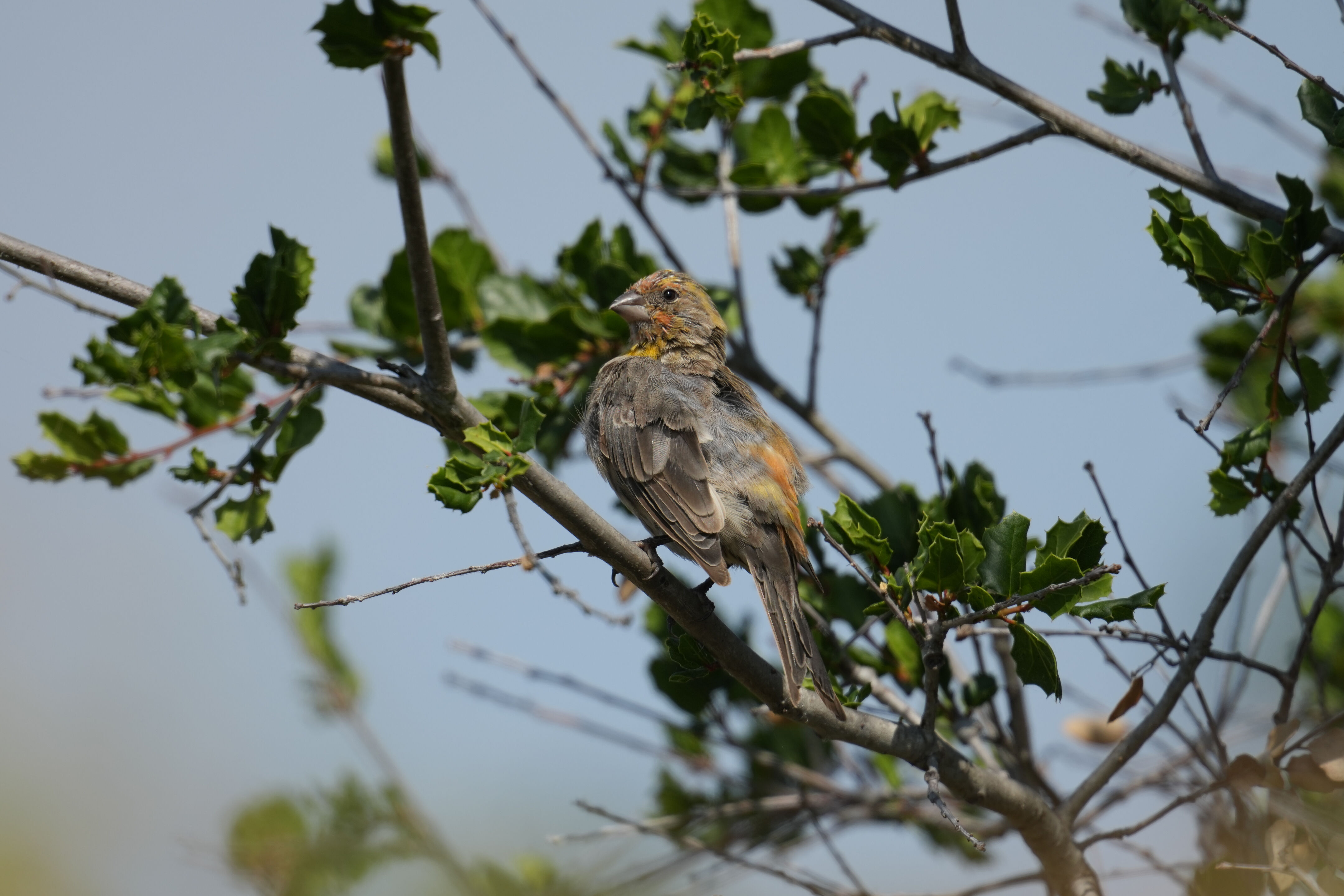 Baylands Nature Preserve