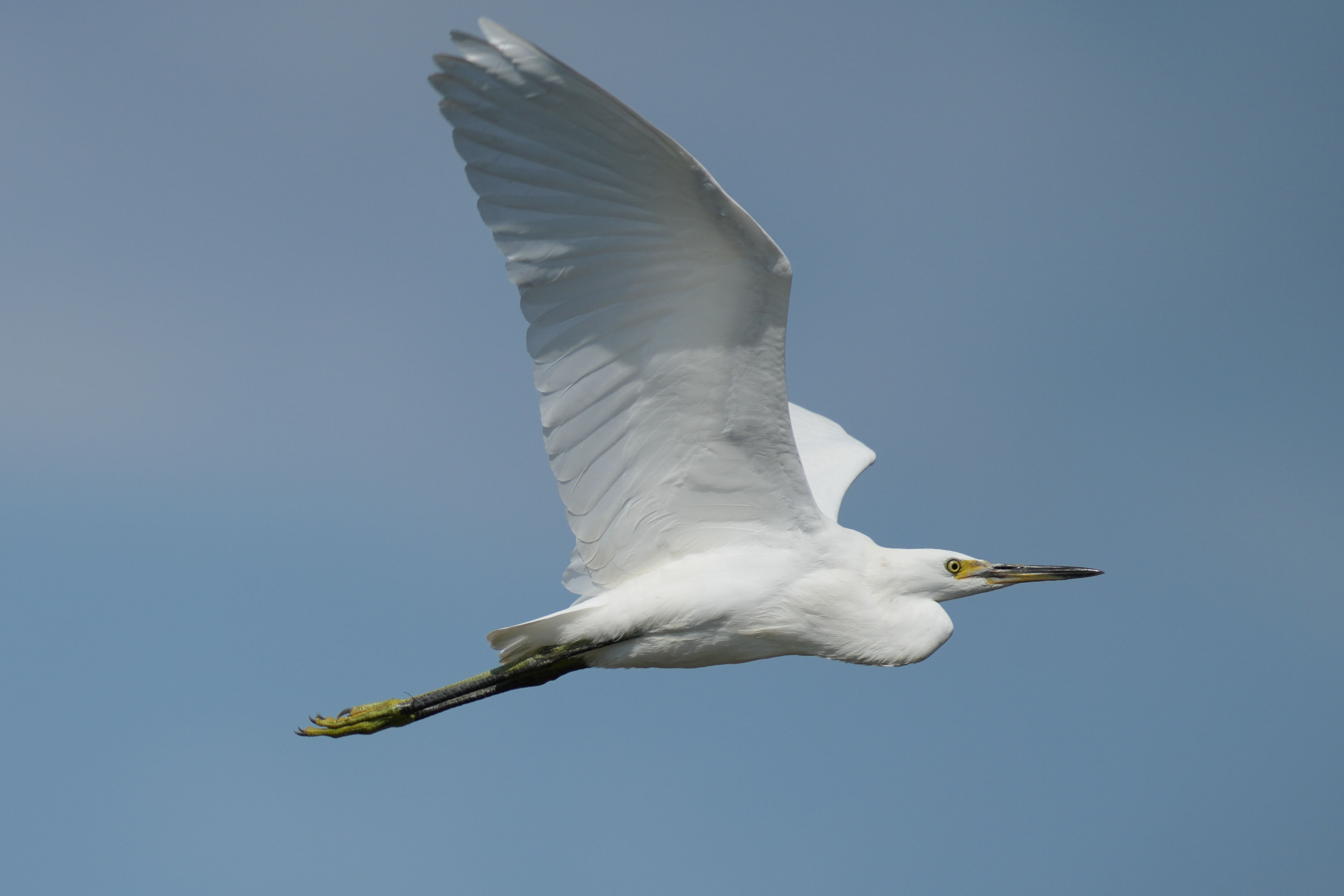 Baylands Nature Preserve