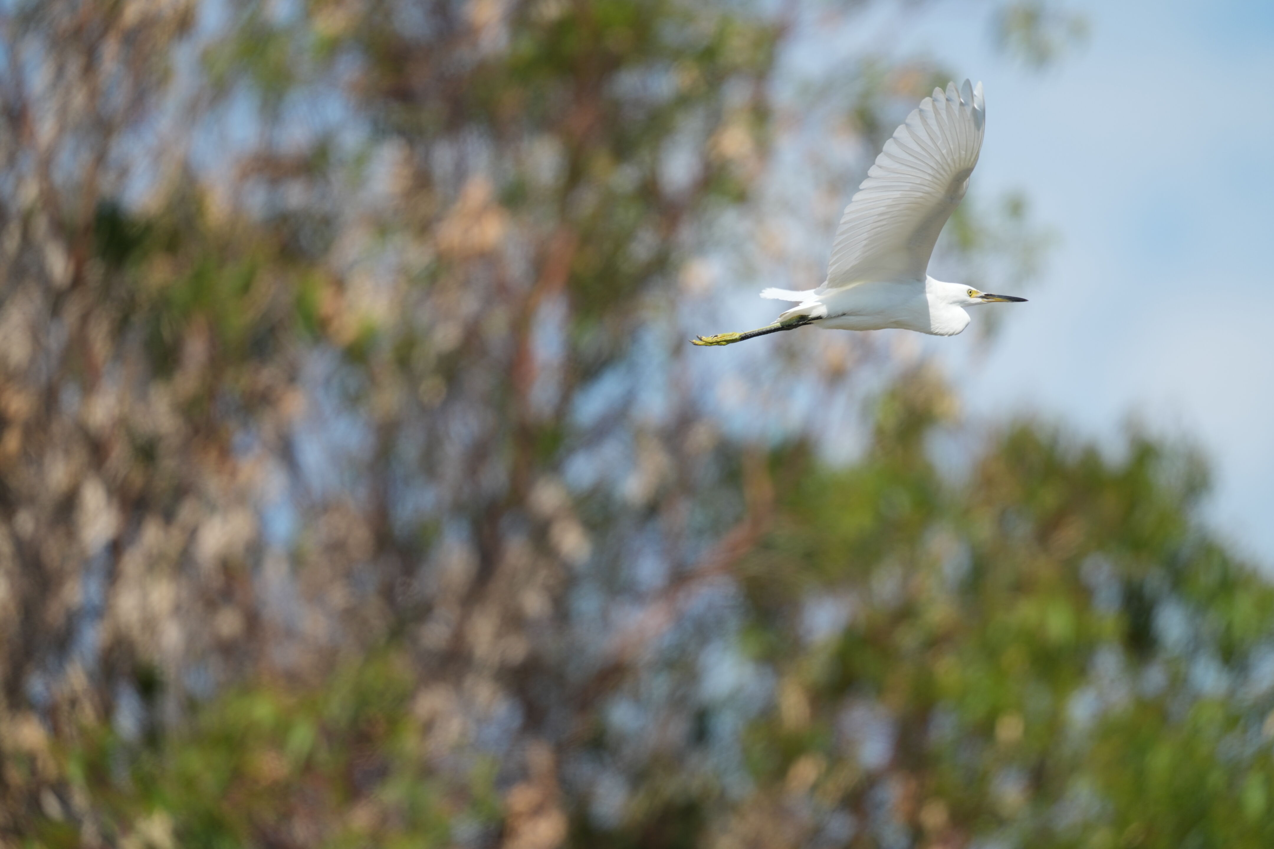 Baylands Nature Preserve