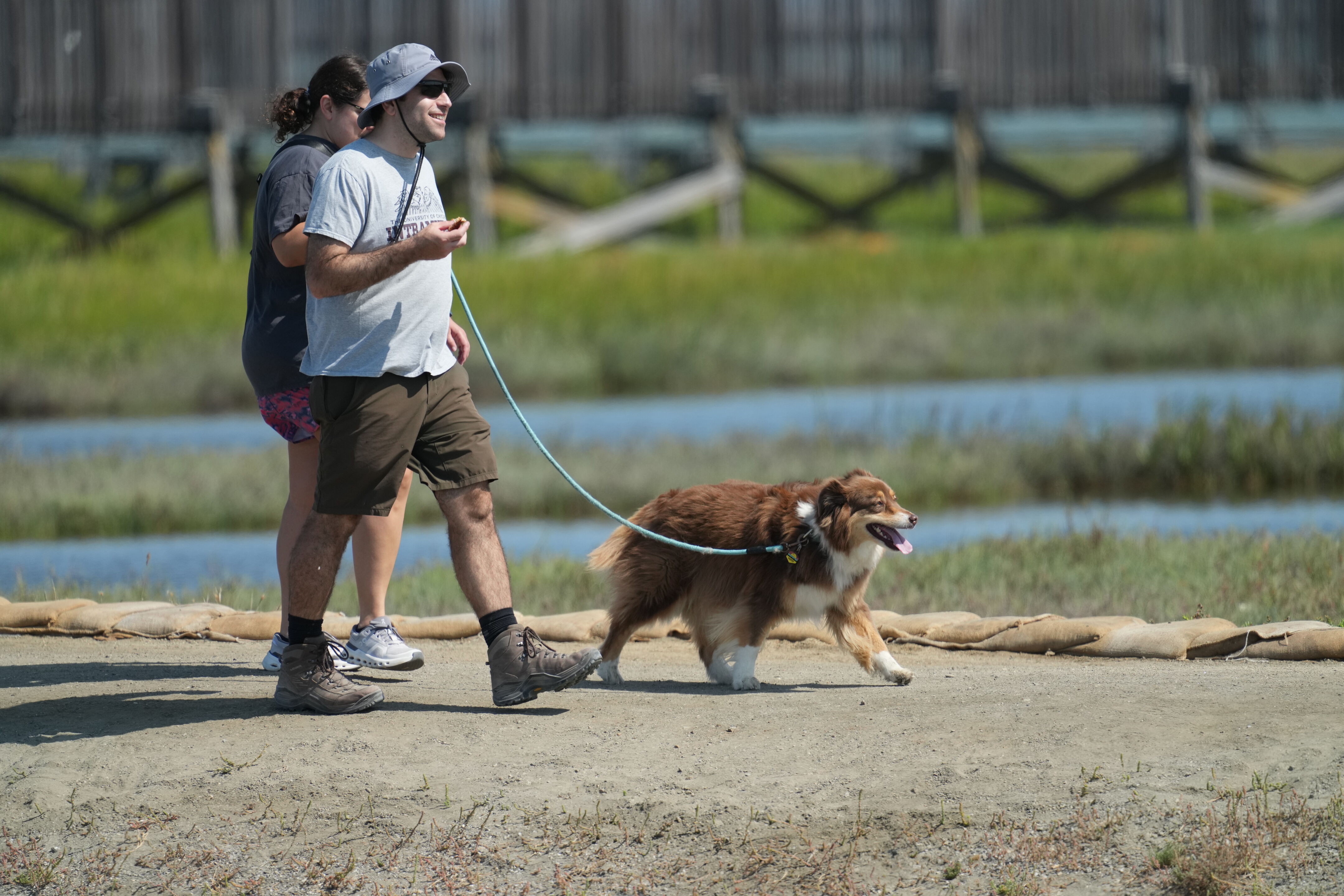 Baylands Nature Preserve