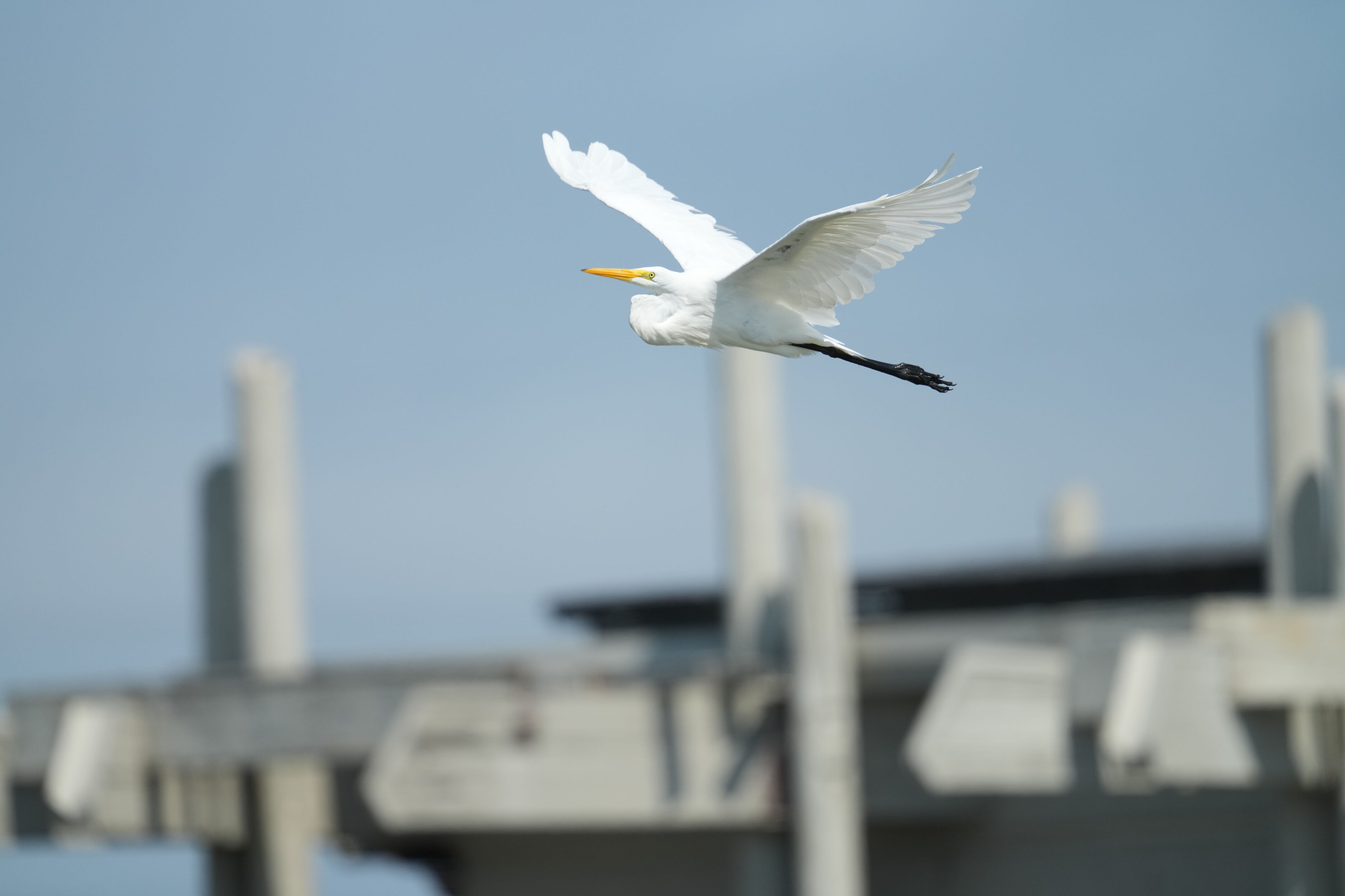 Baylands Nature Preserve