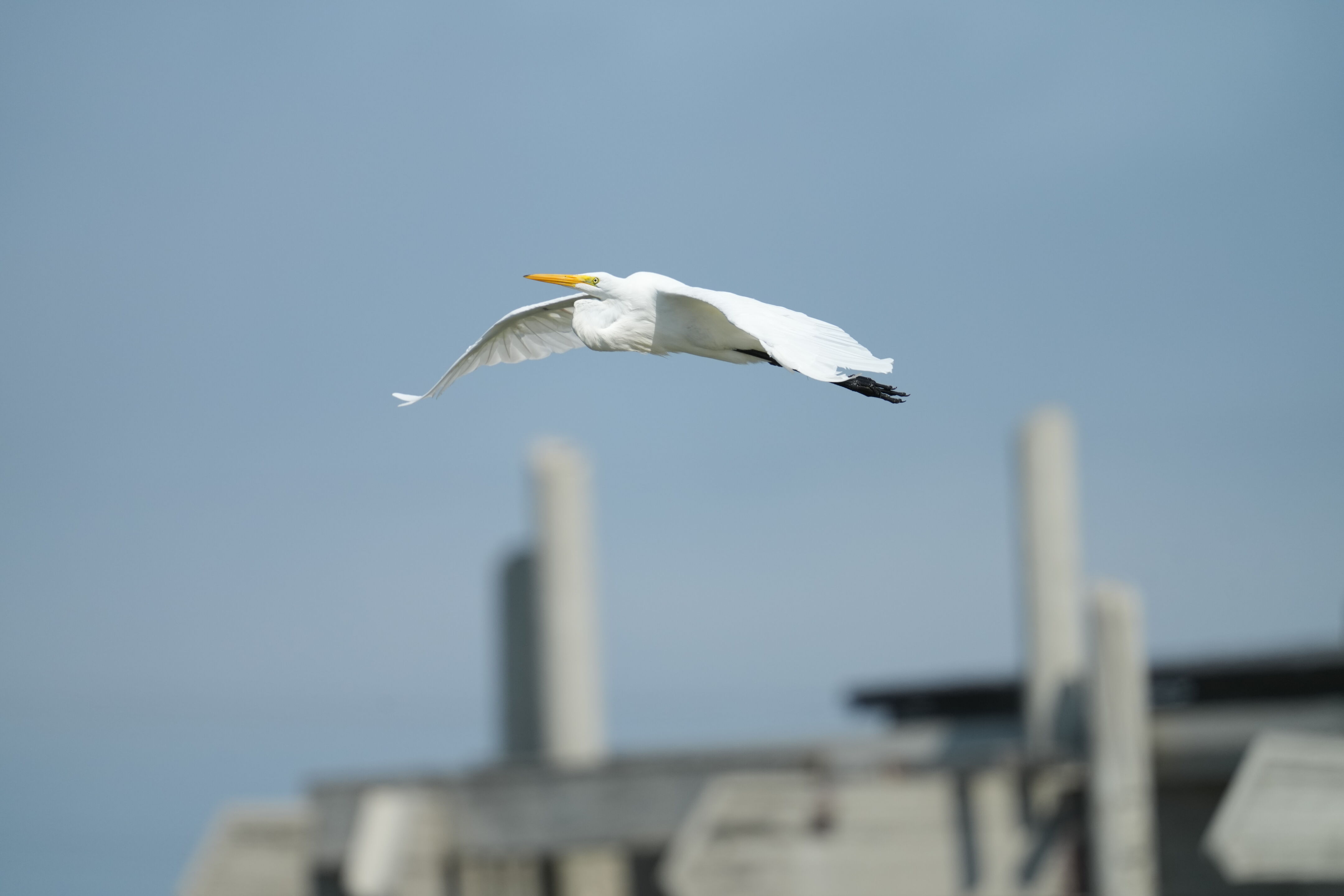 Baylands Nature Preserve