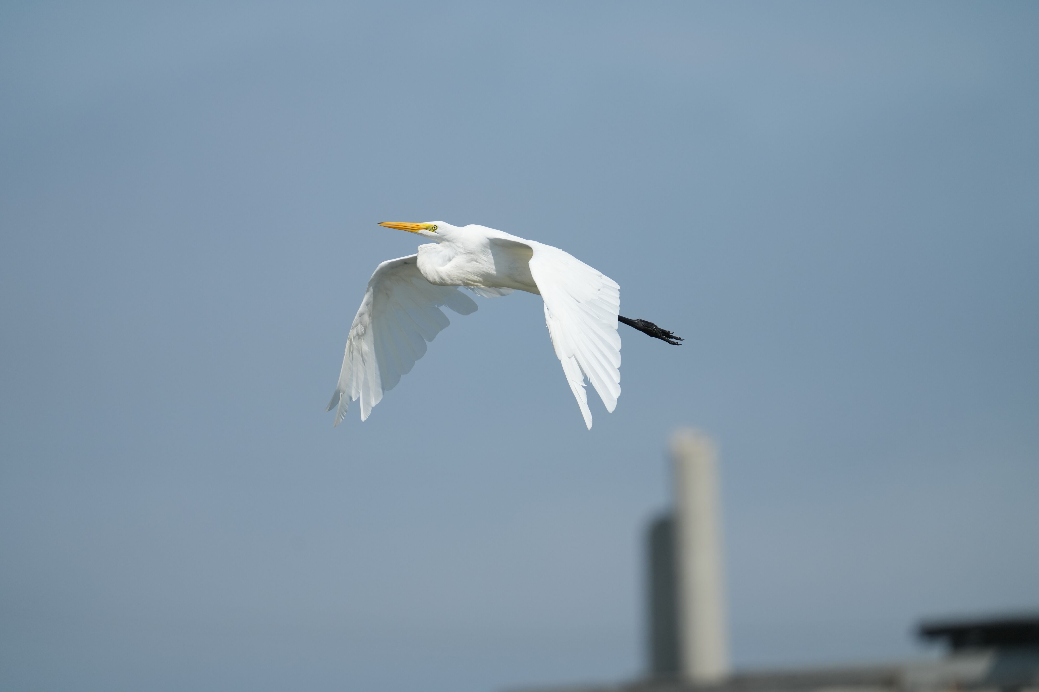 Baylands Nature Preserve