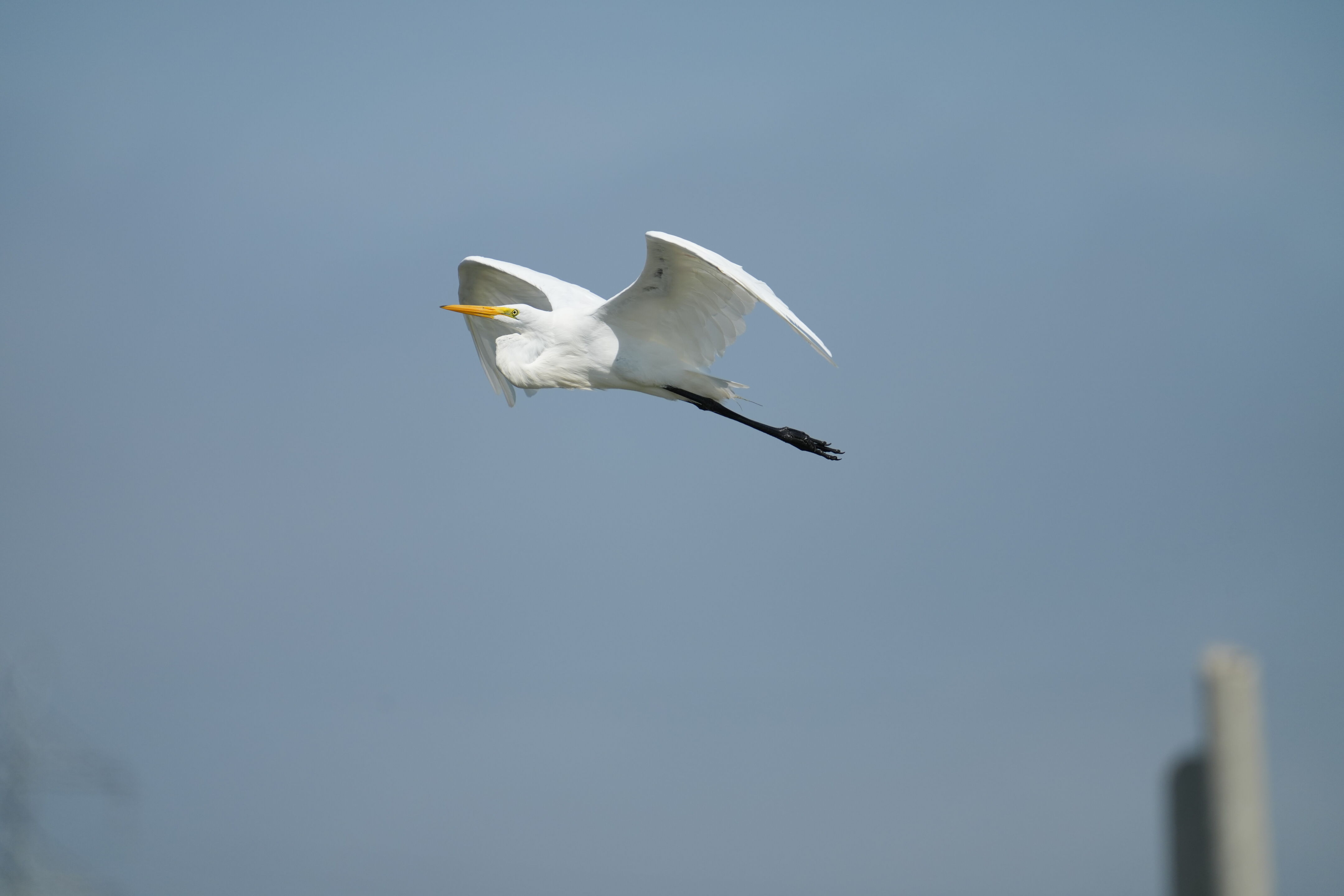 Baylands Nature Preserve