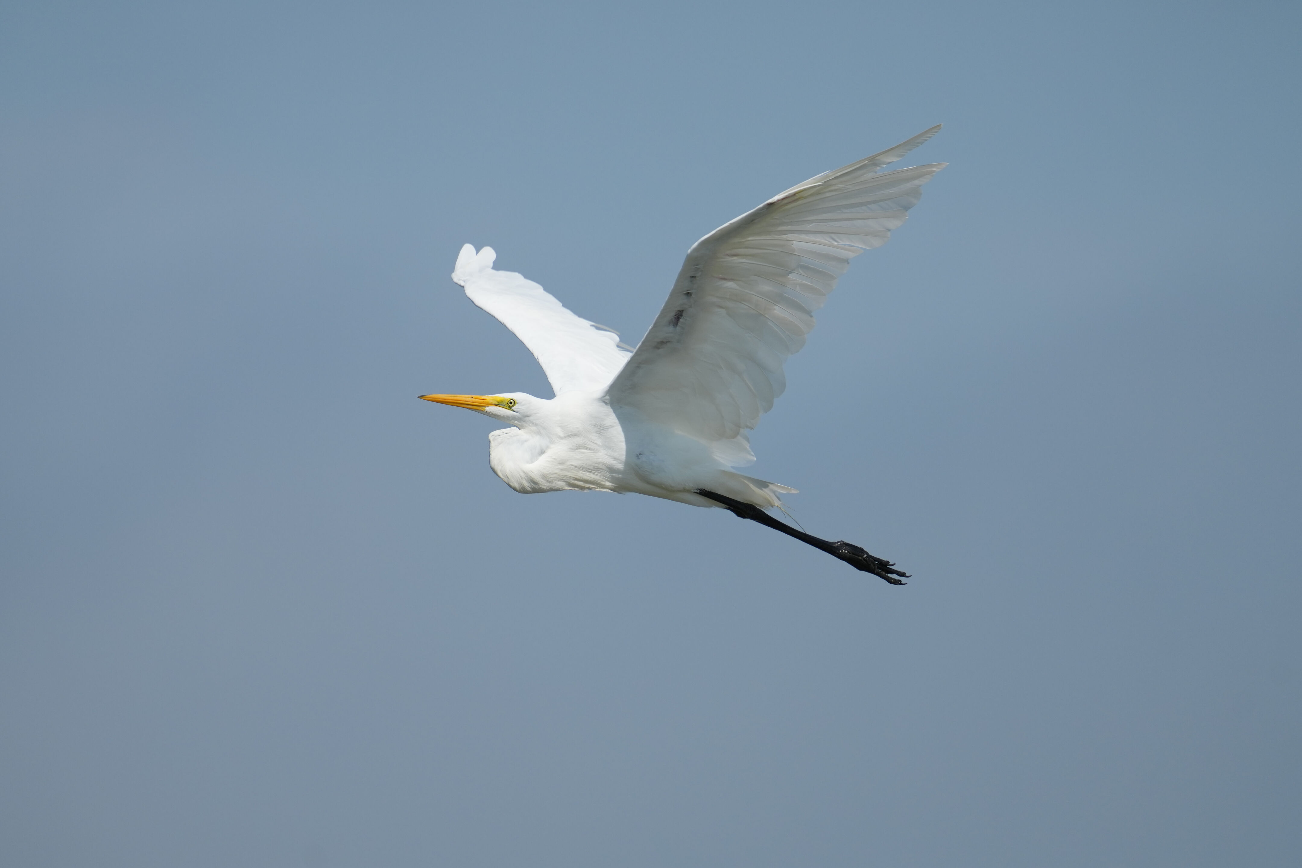 Baylands Nature Preserve