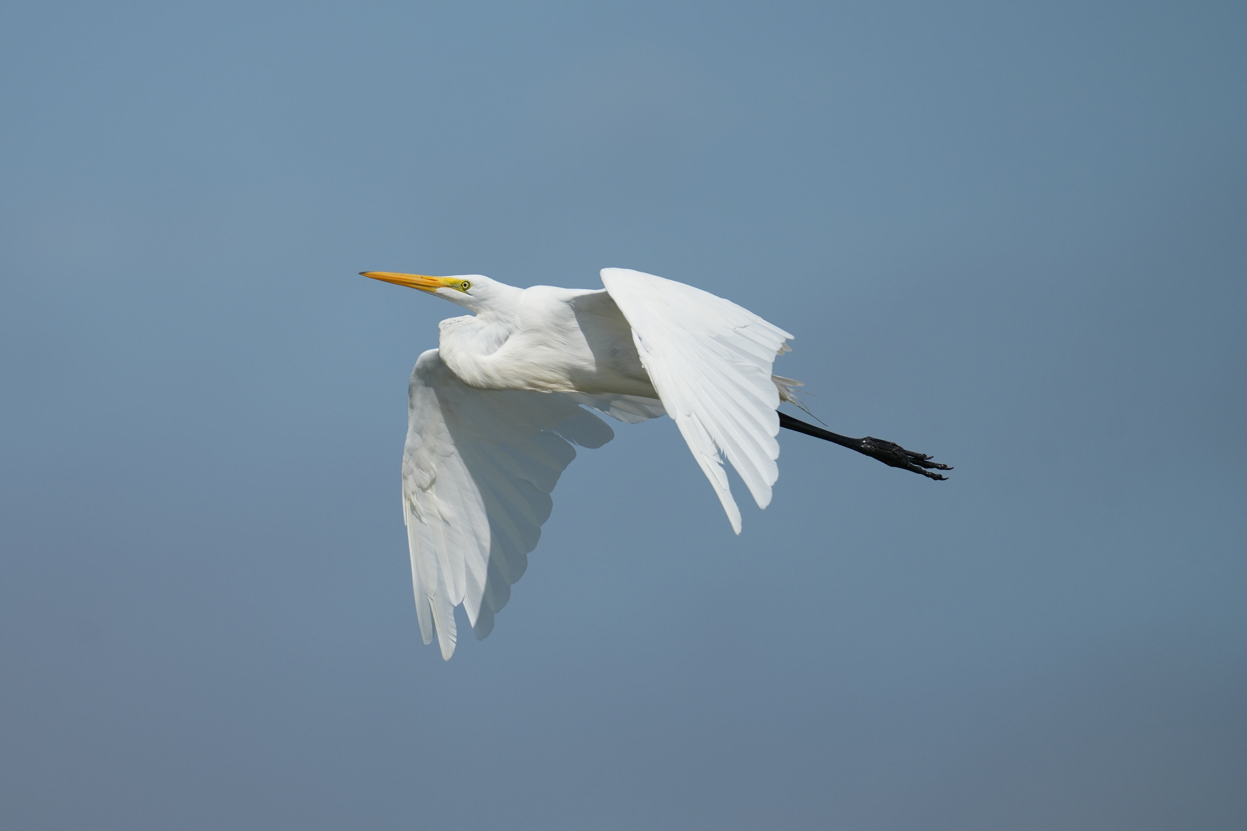 Baylands Nature Preserve