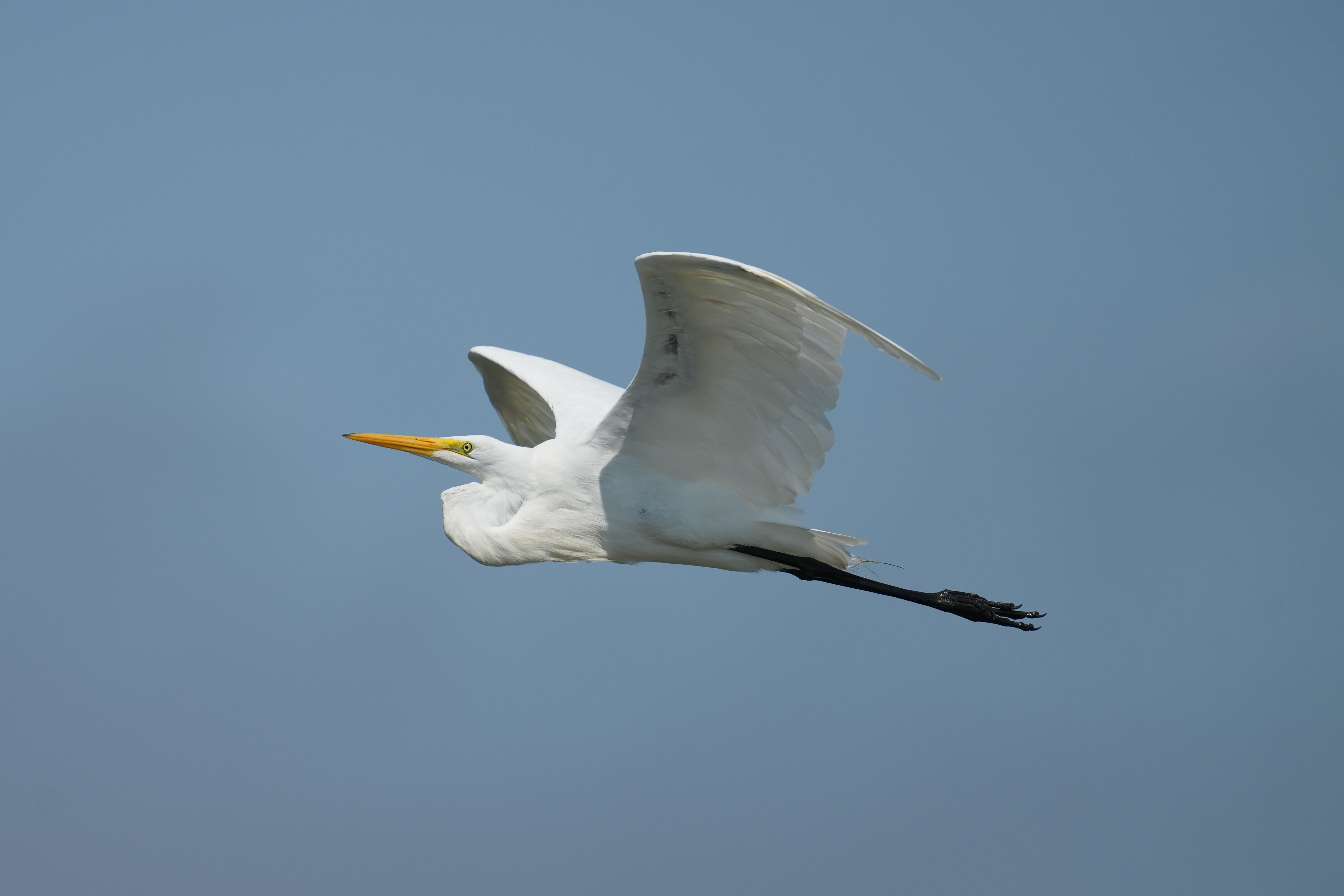 Baylands Nature Preserve