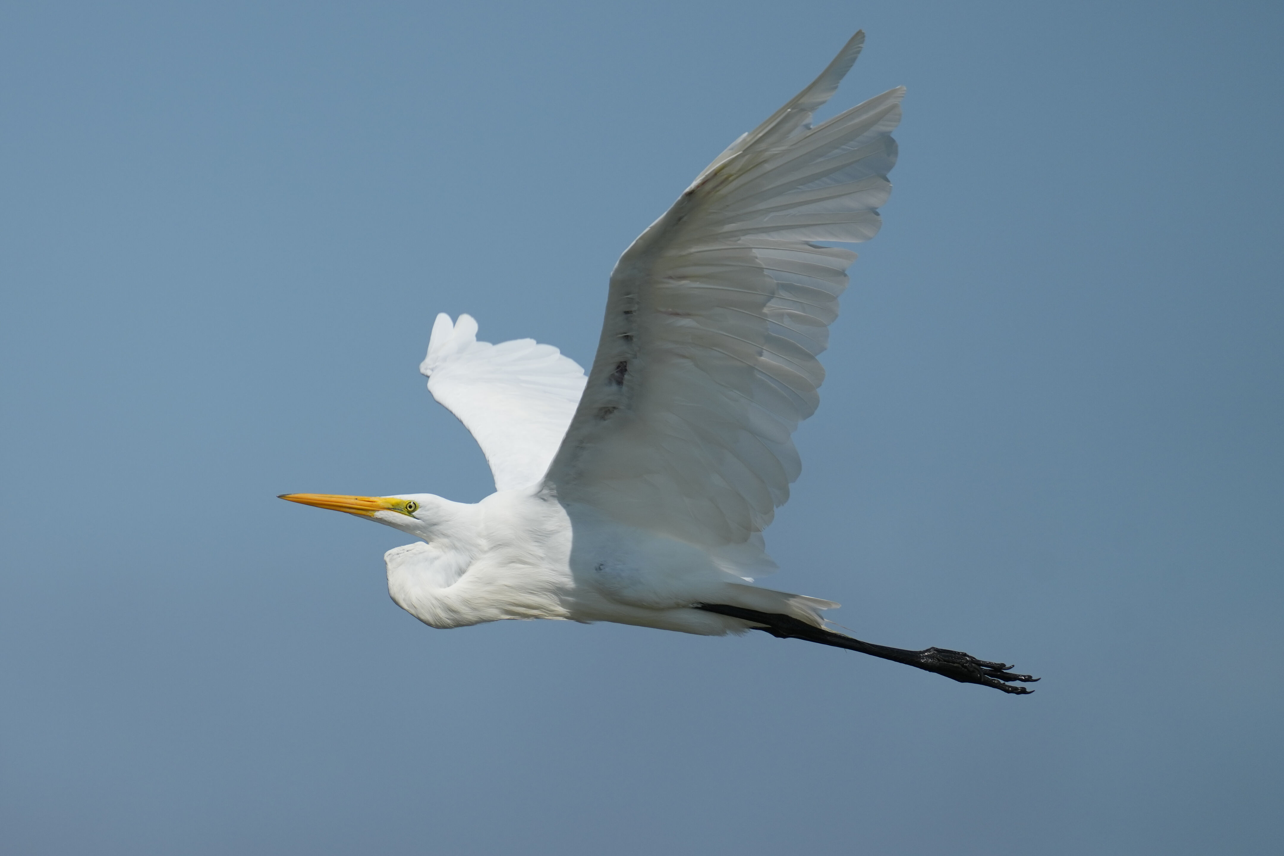 Baylands Nature Preserve