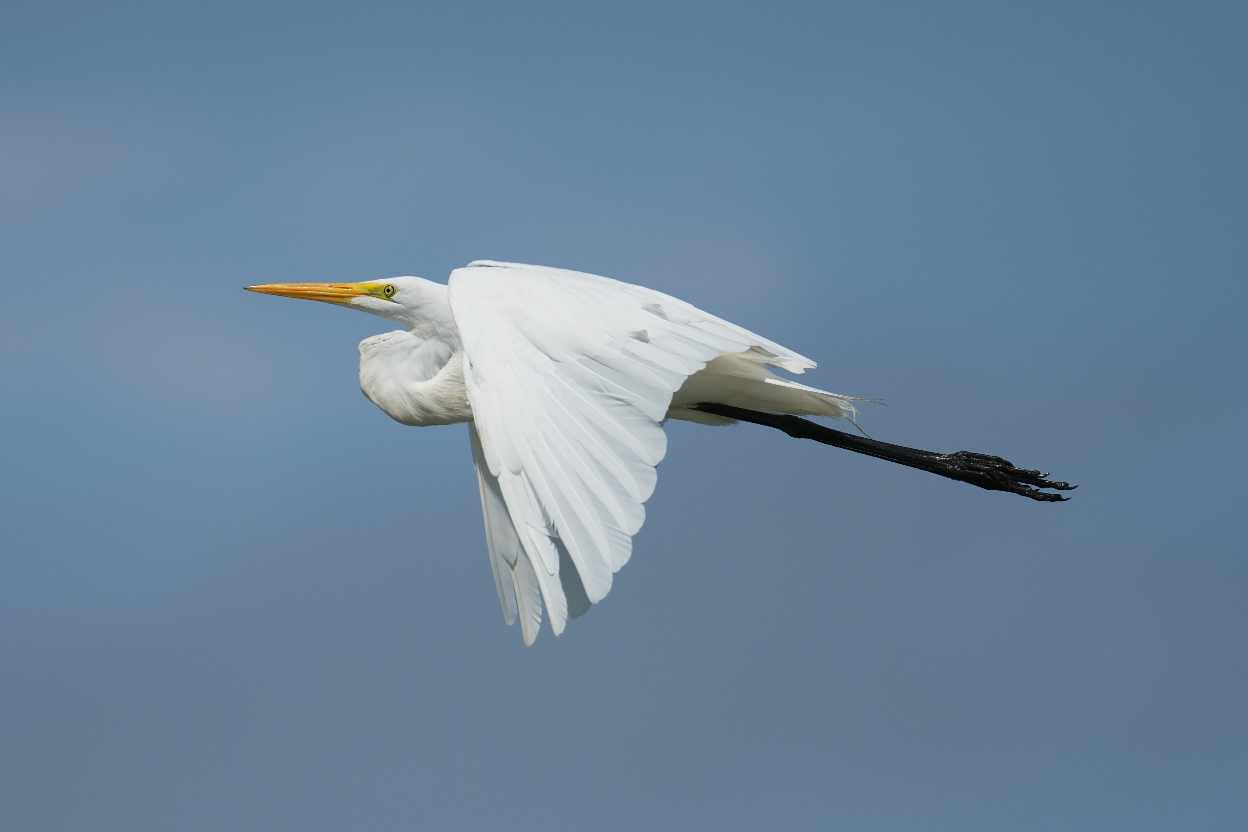 Baylands Nature Preserve