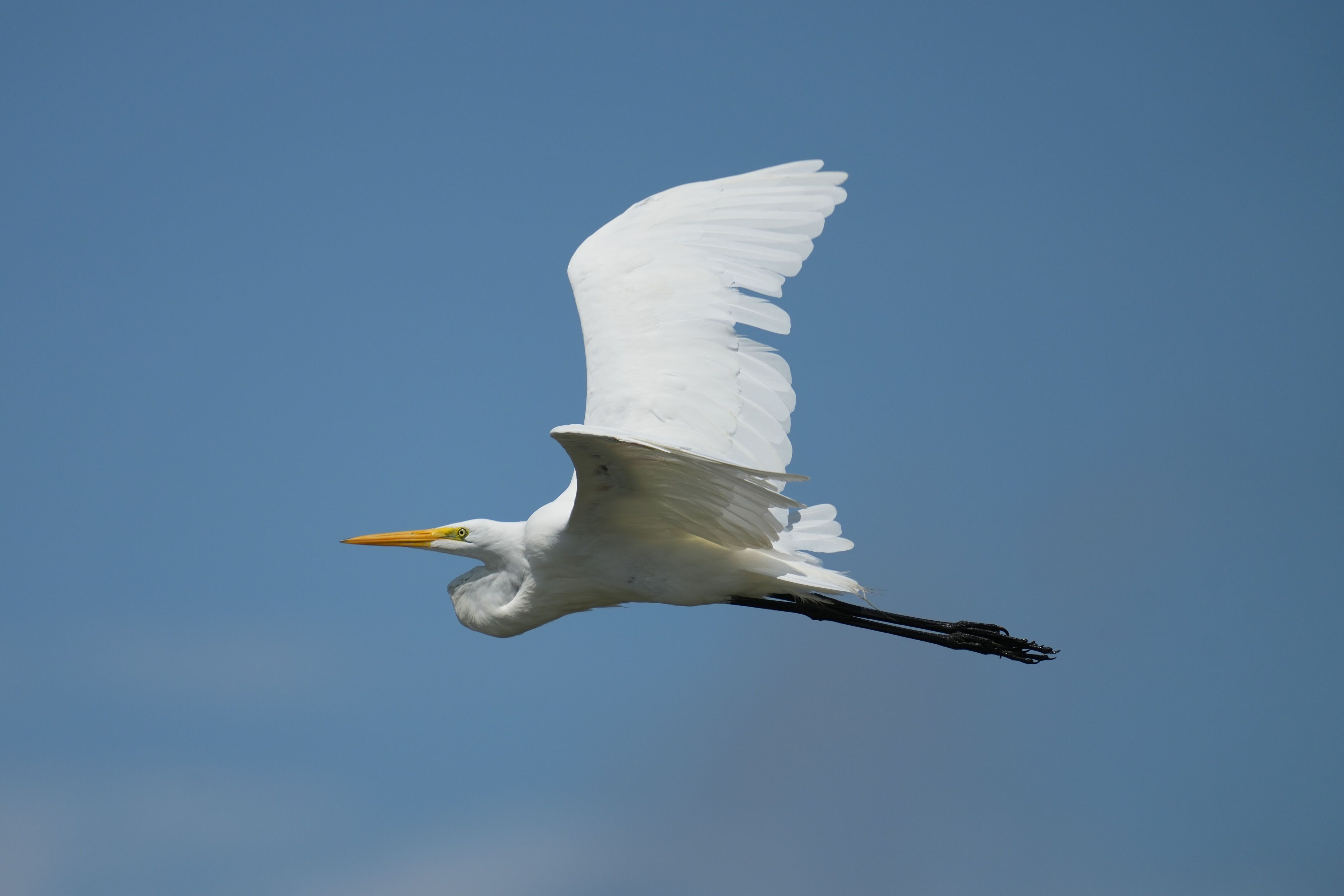 Baylands Nature Preserve