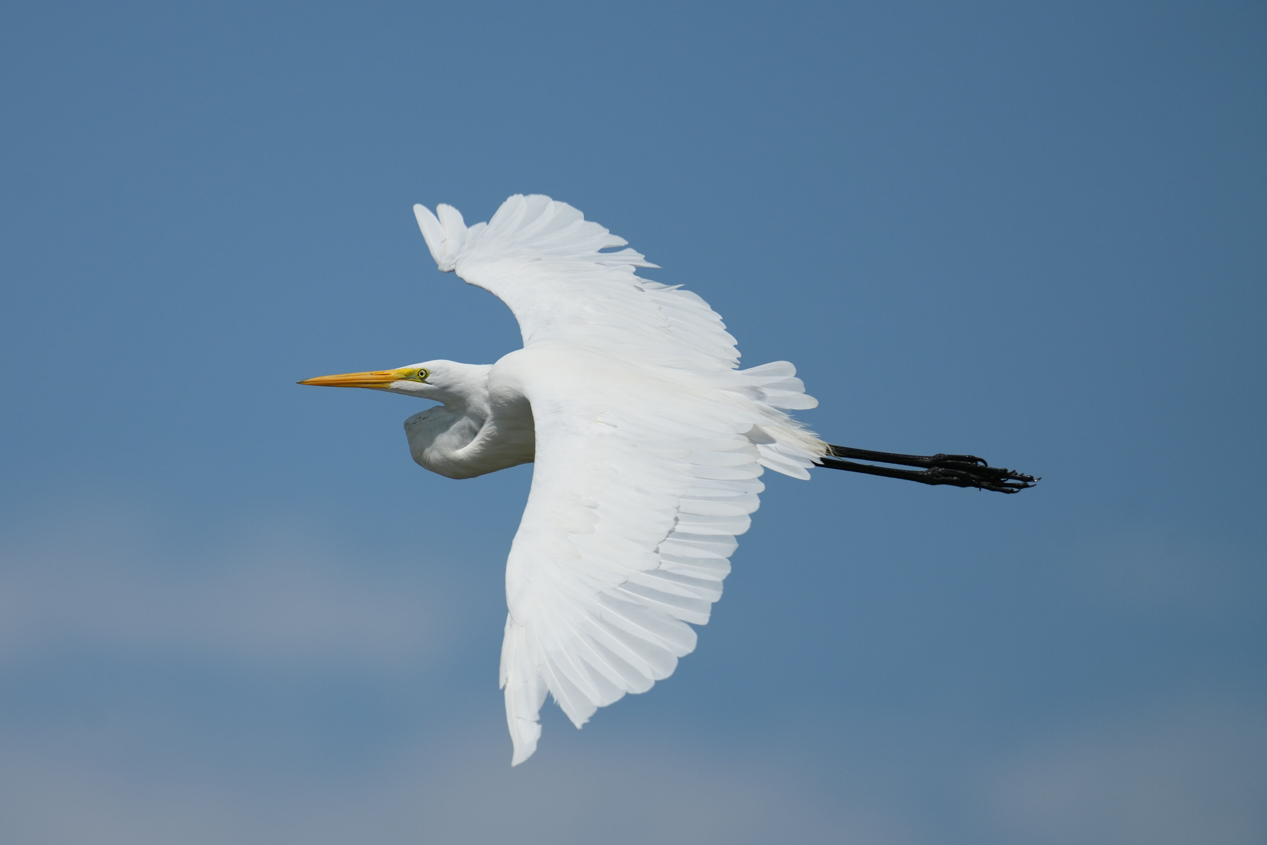 Baylands Nature Preserve
