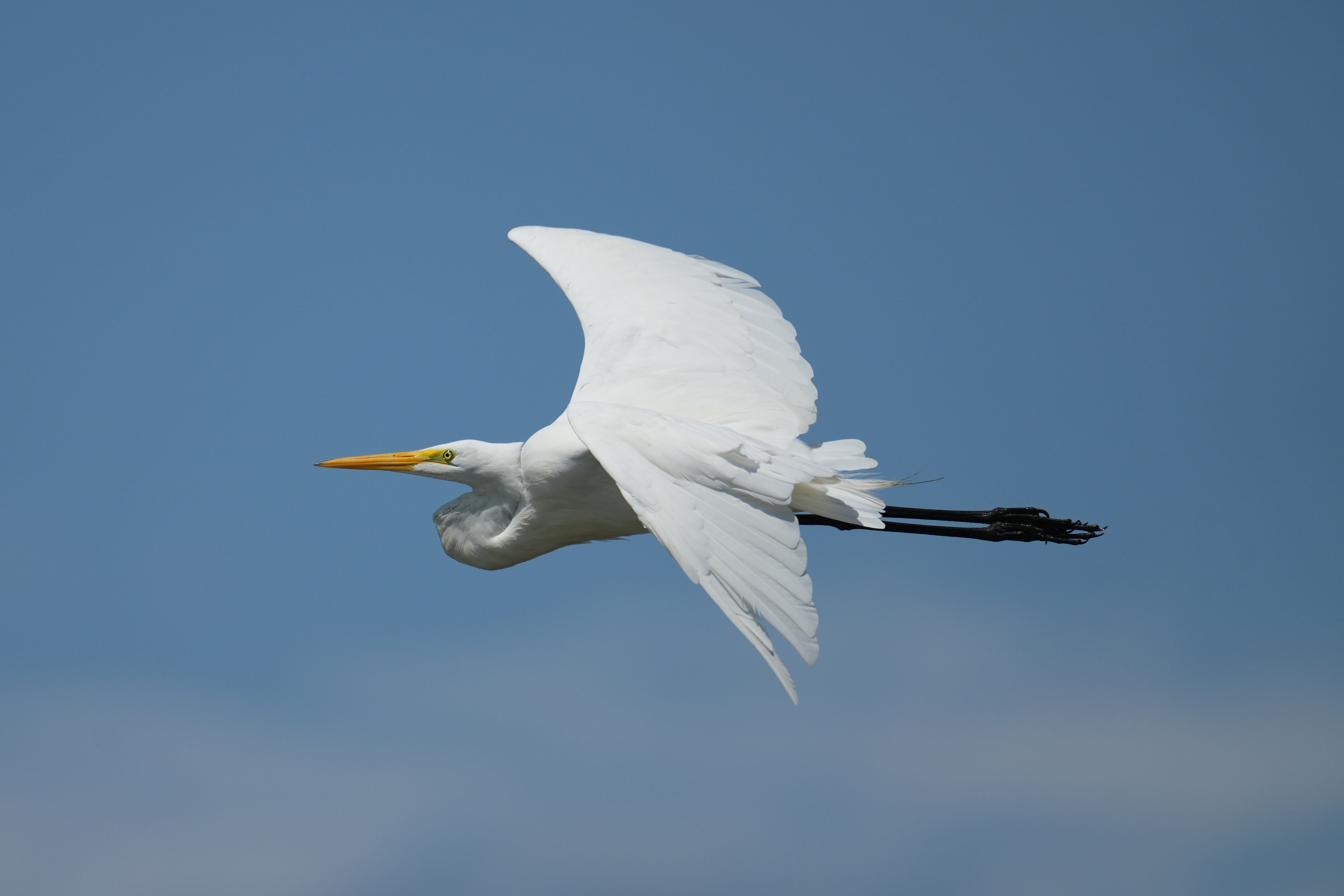 Baylands Nature Preserve