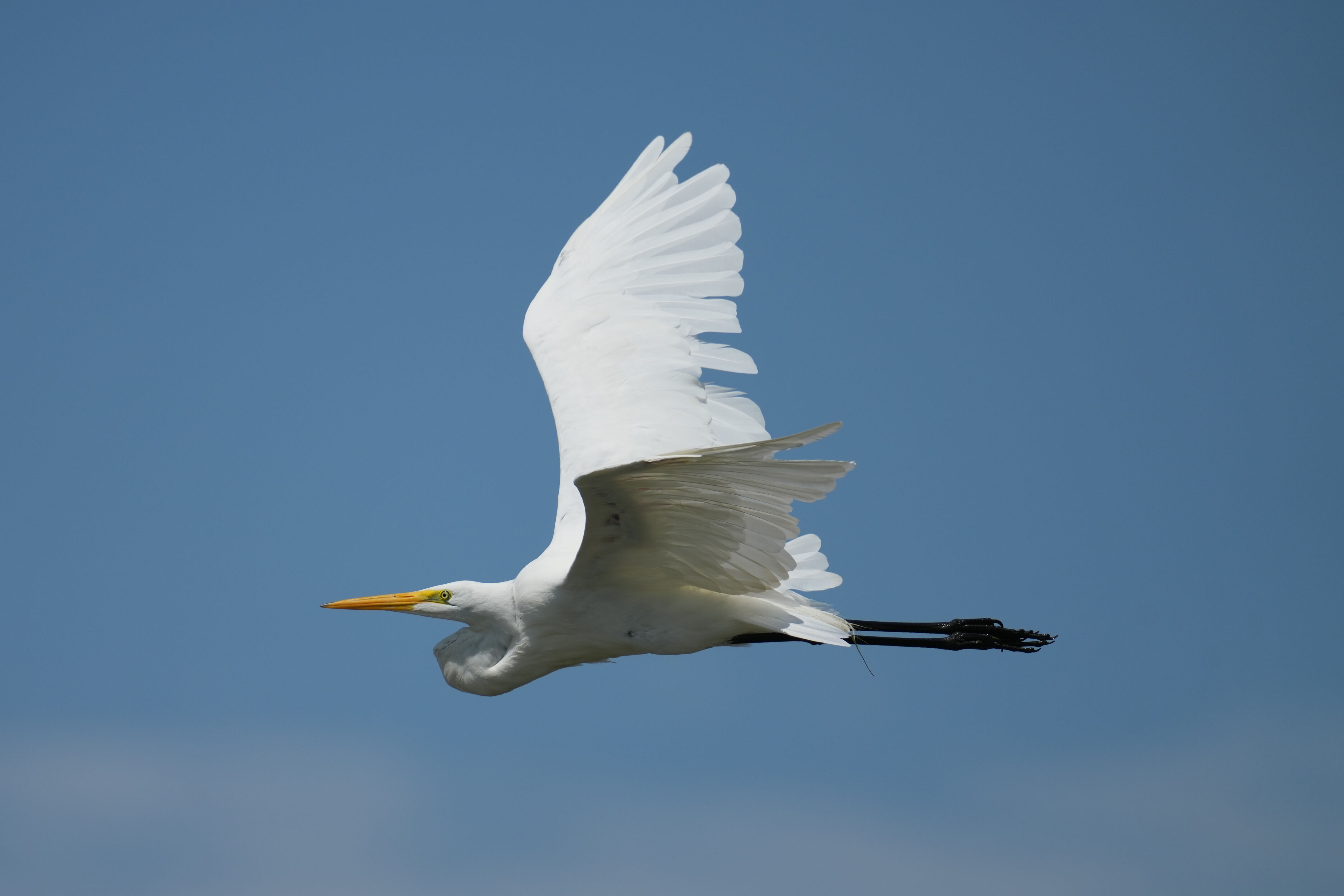 Baylands Nature Preserve
