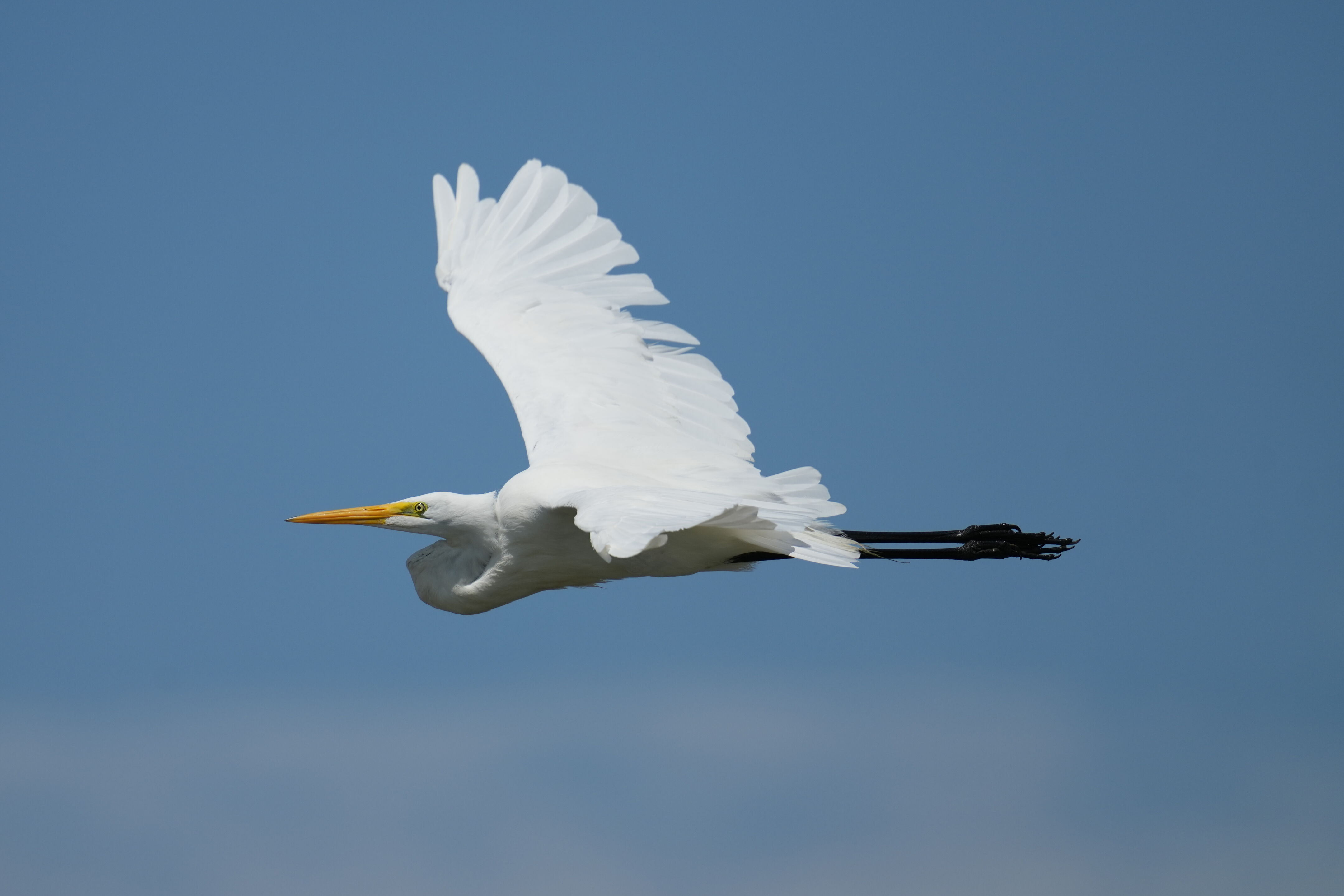 Baylands Nature Preserve