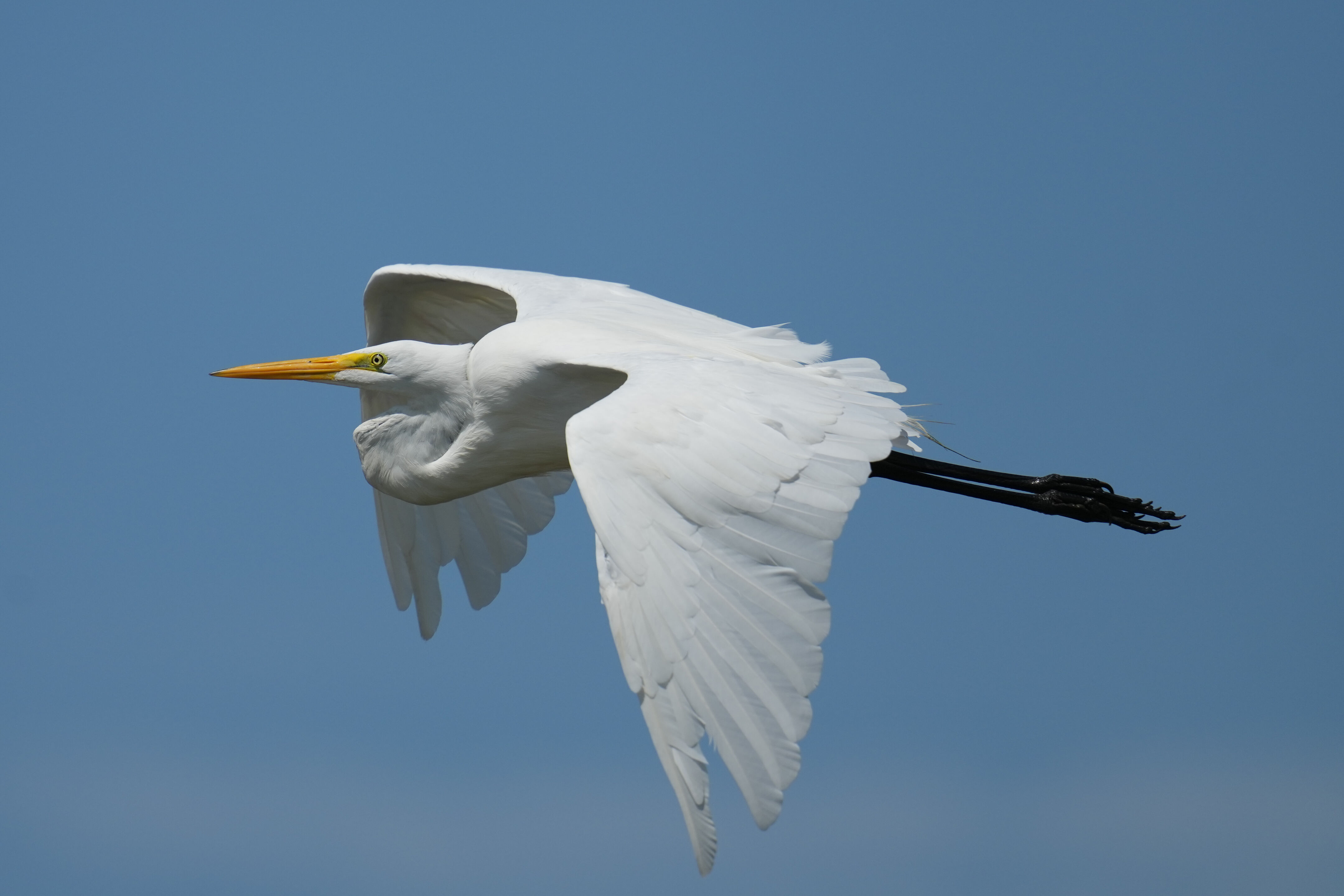 Baylands Nature Preserve