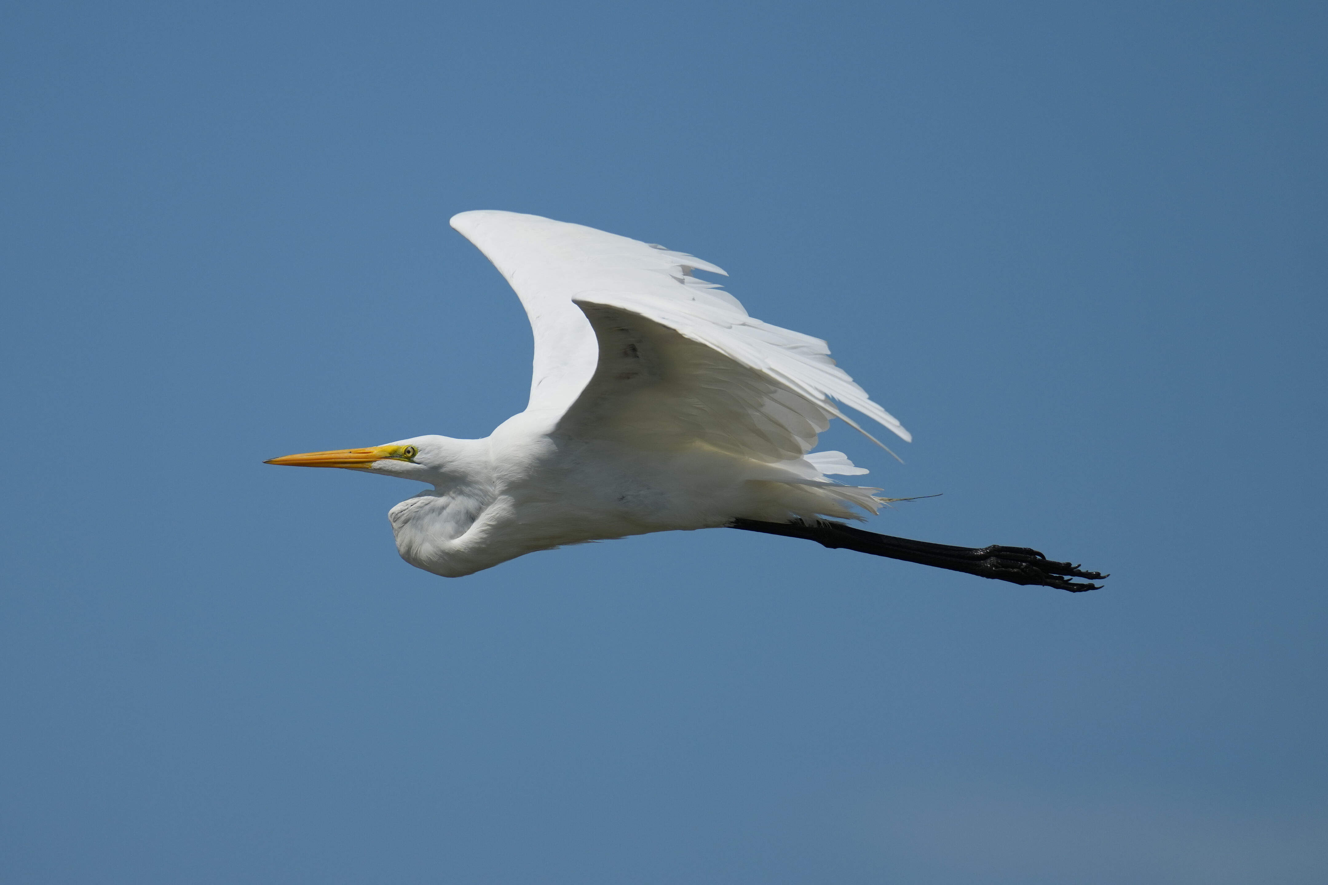 Baylands Nature Preserve