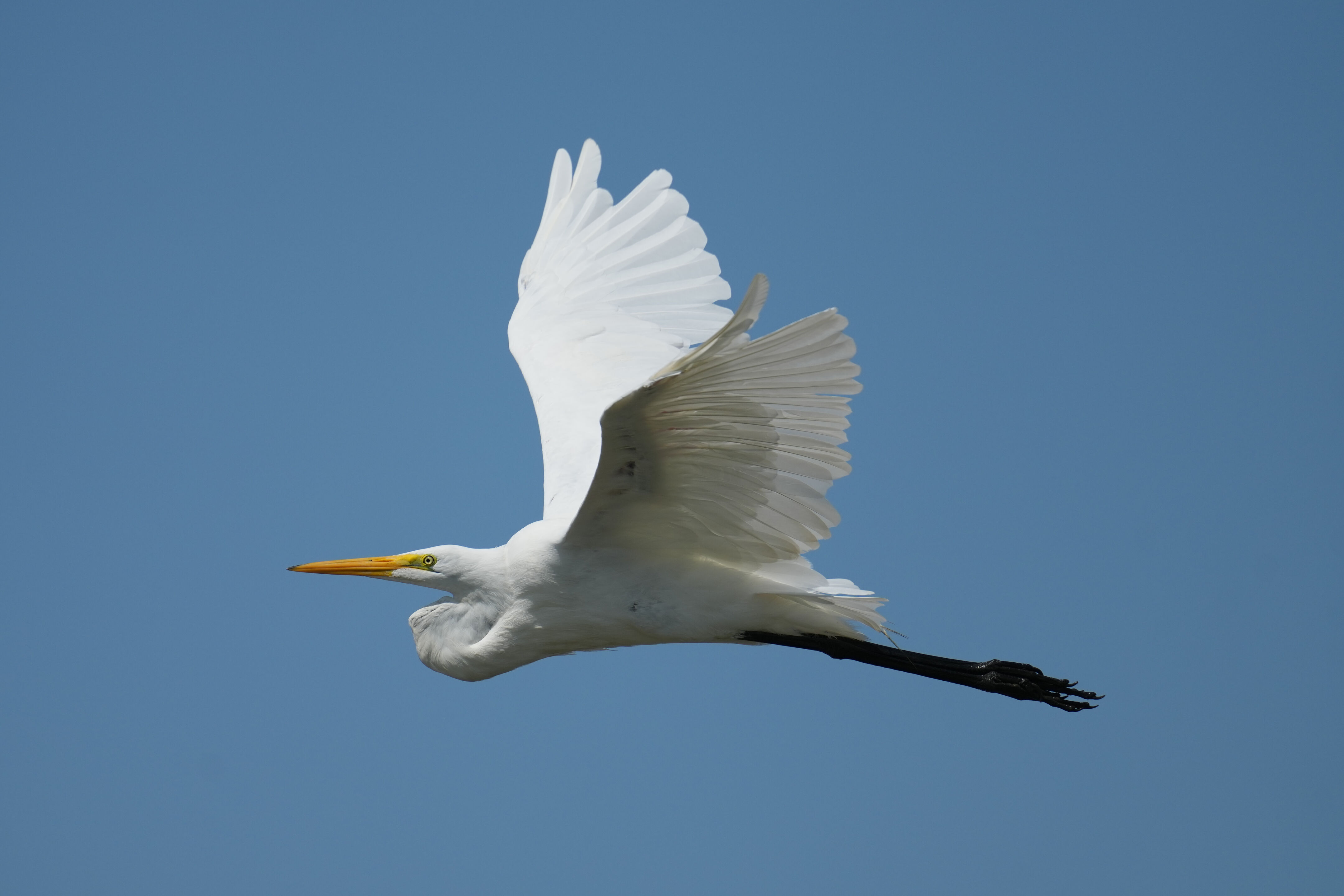 Baylands Nature Preserve