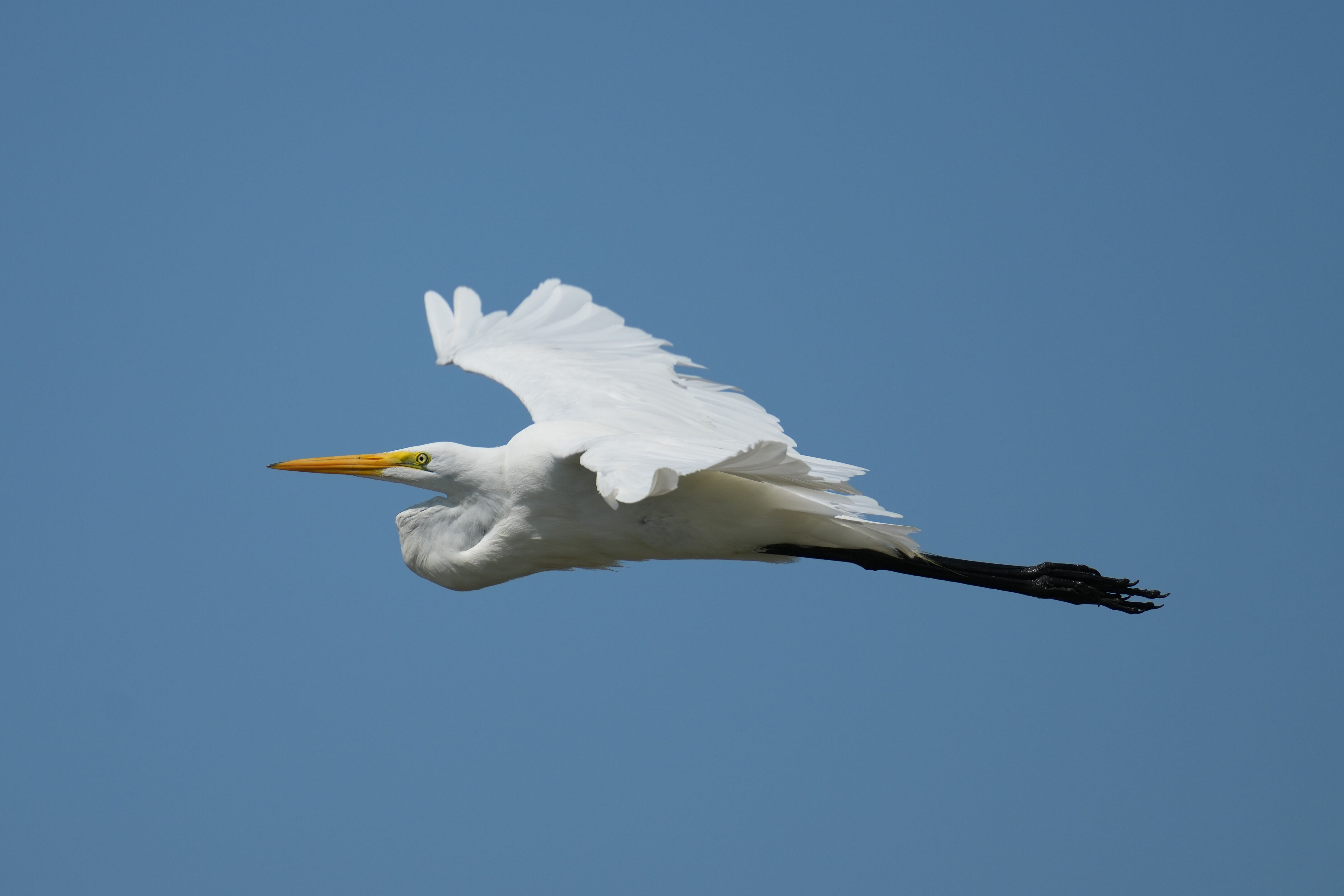 Baylands Nature Preserve
