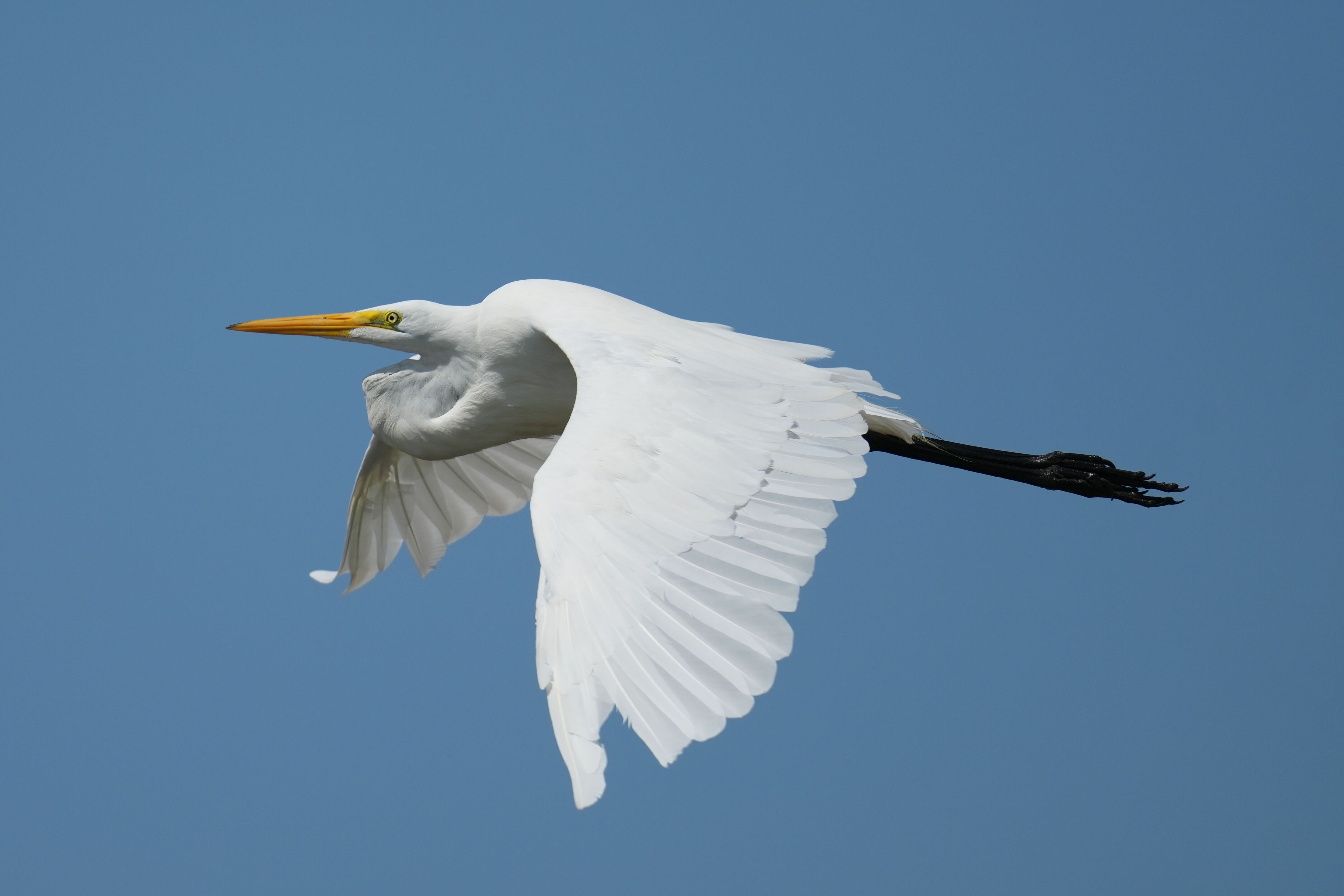 Baylands Nature Preserve