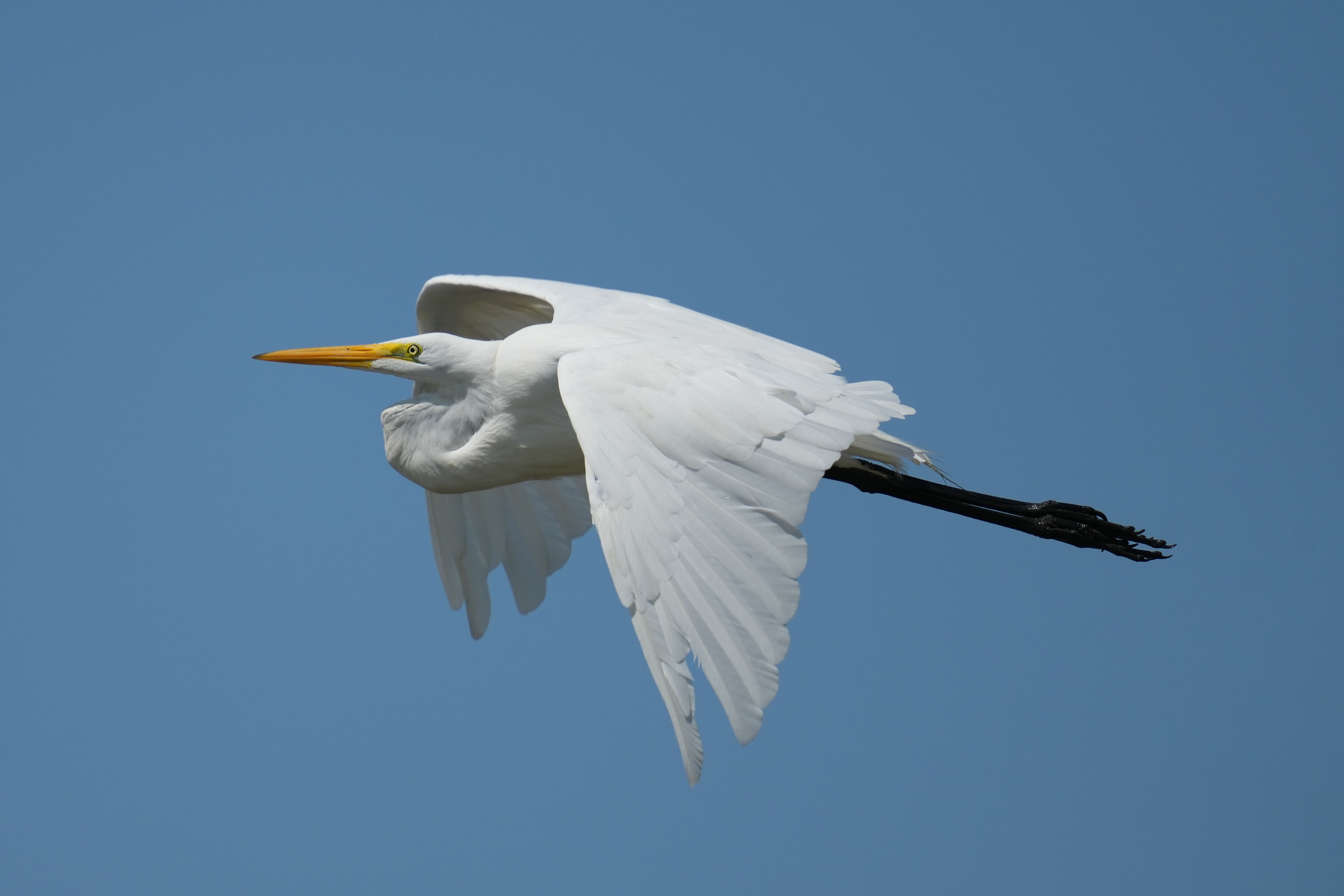 Baylands Nature Preserve