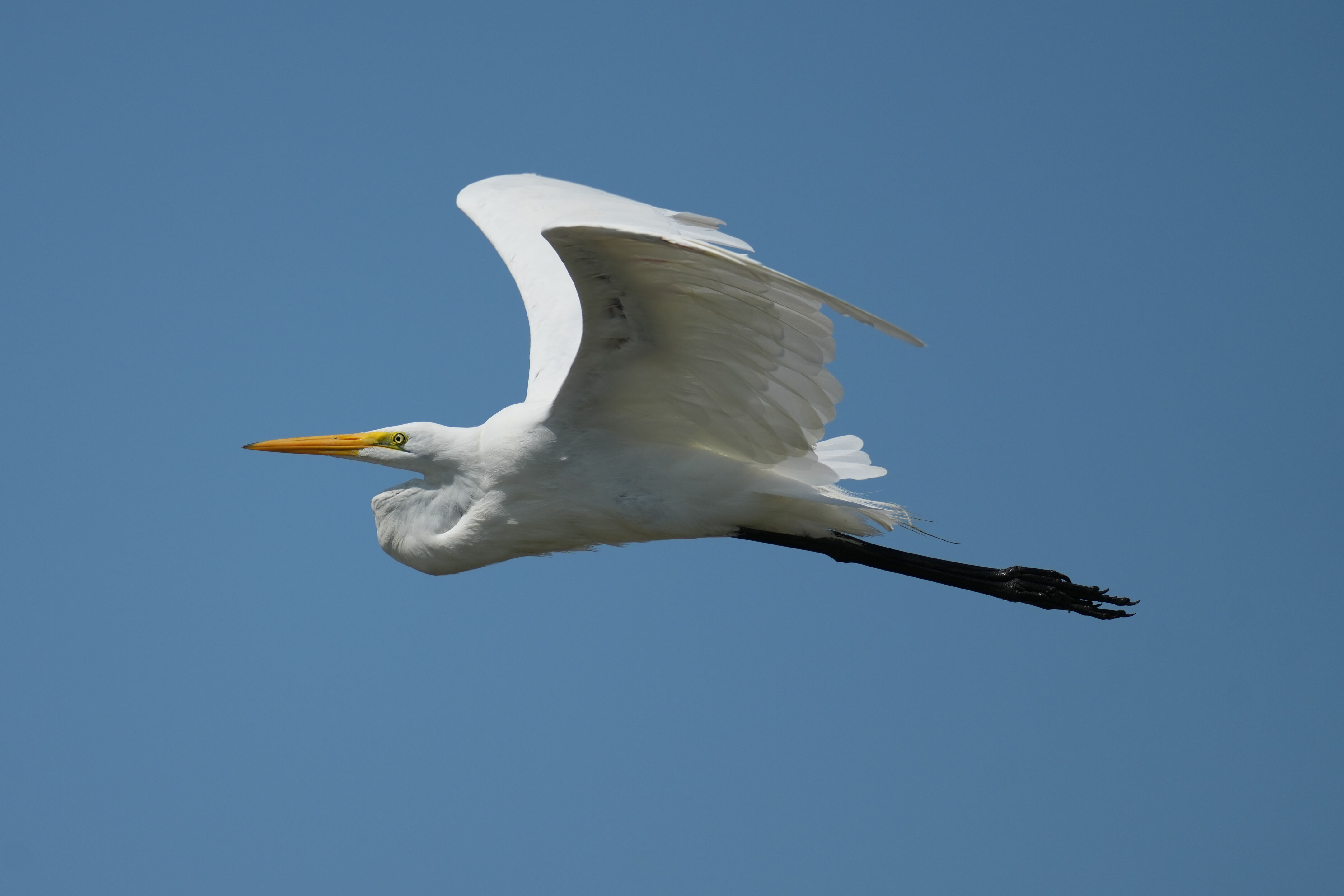 Baylands Nature Preserve