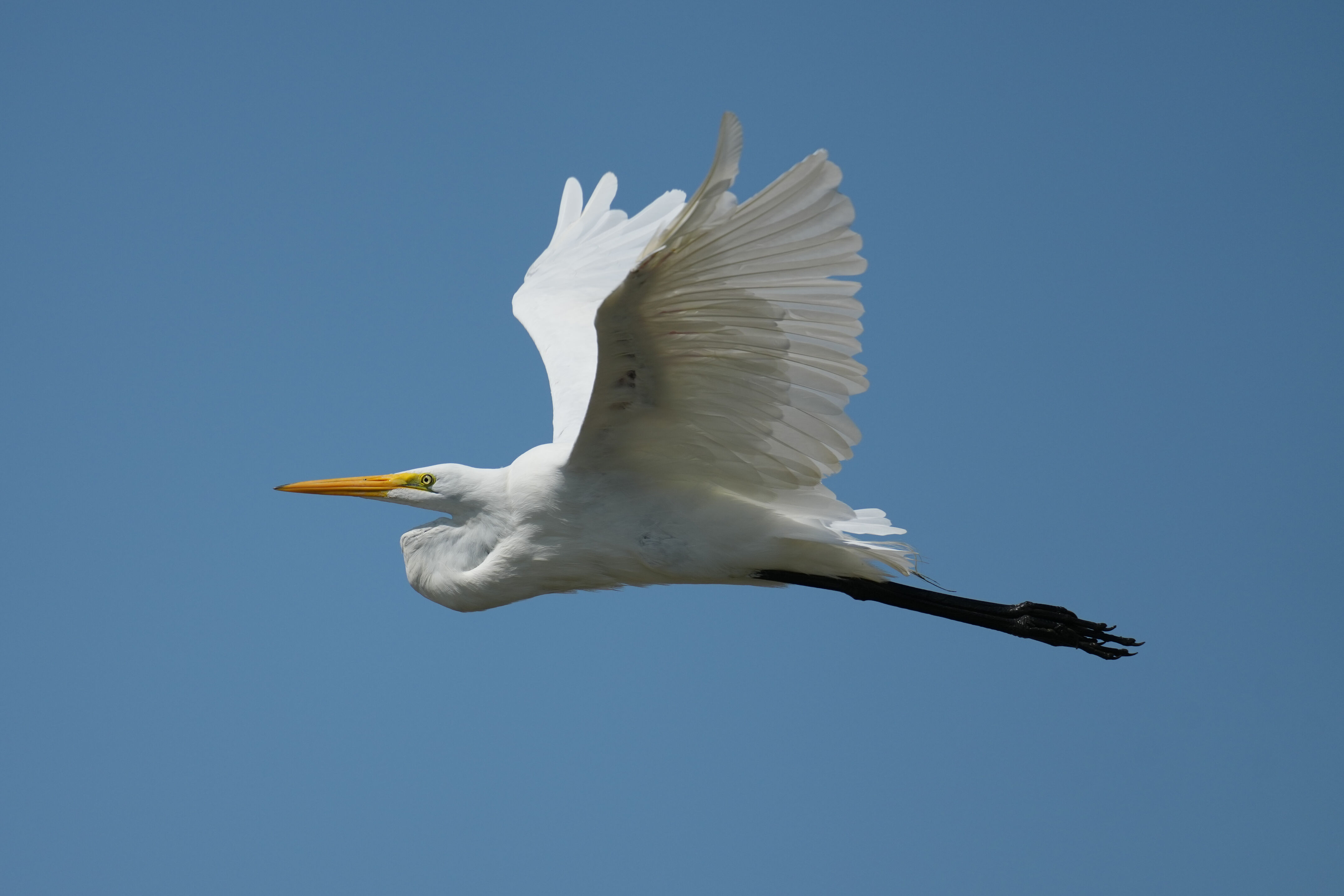 Baylands Nature Preserve