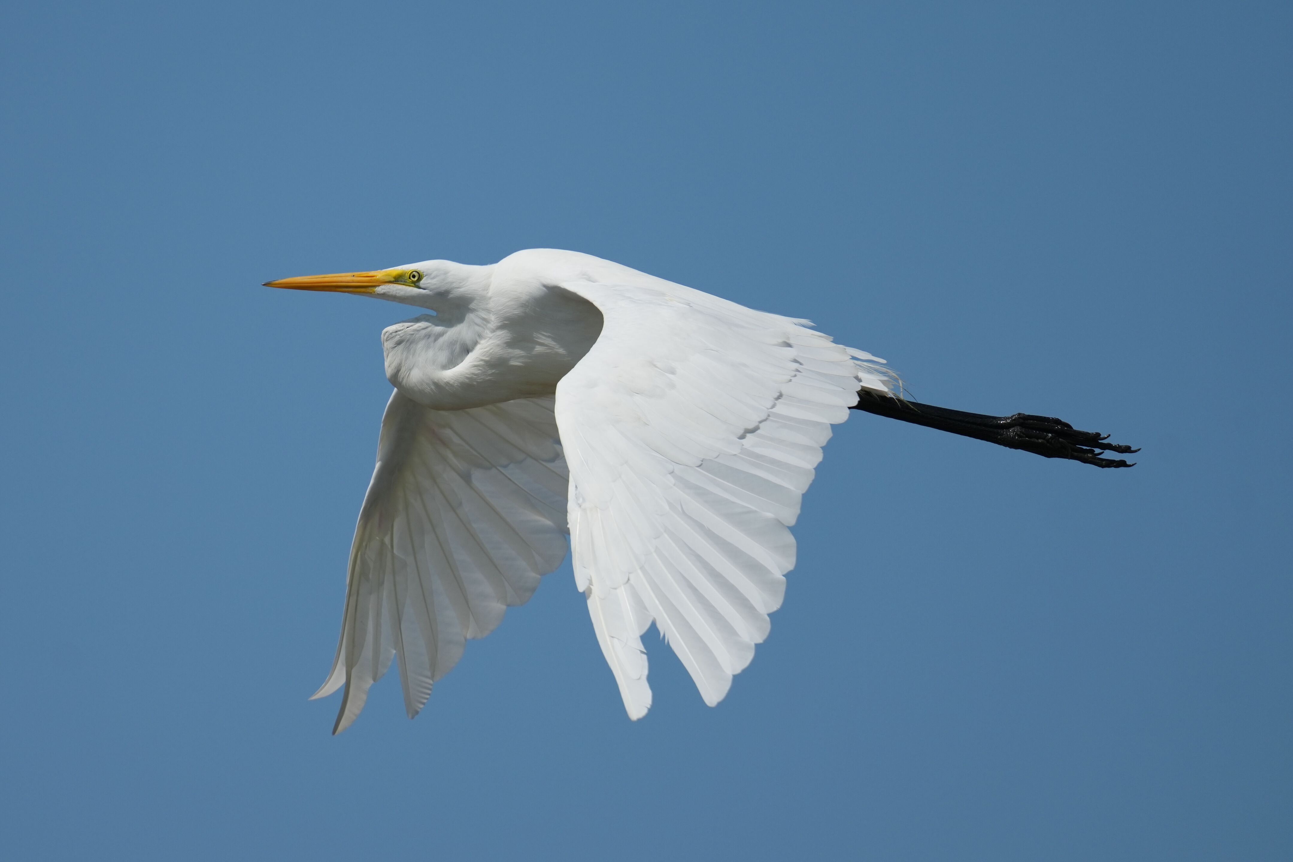 Baylands Nature Preserve