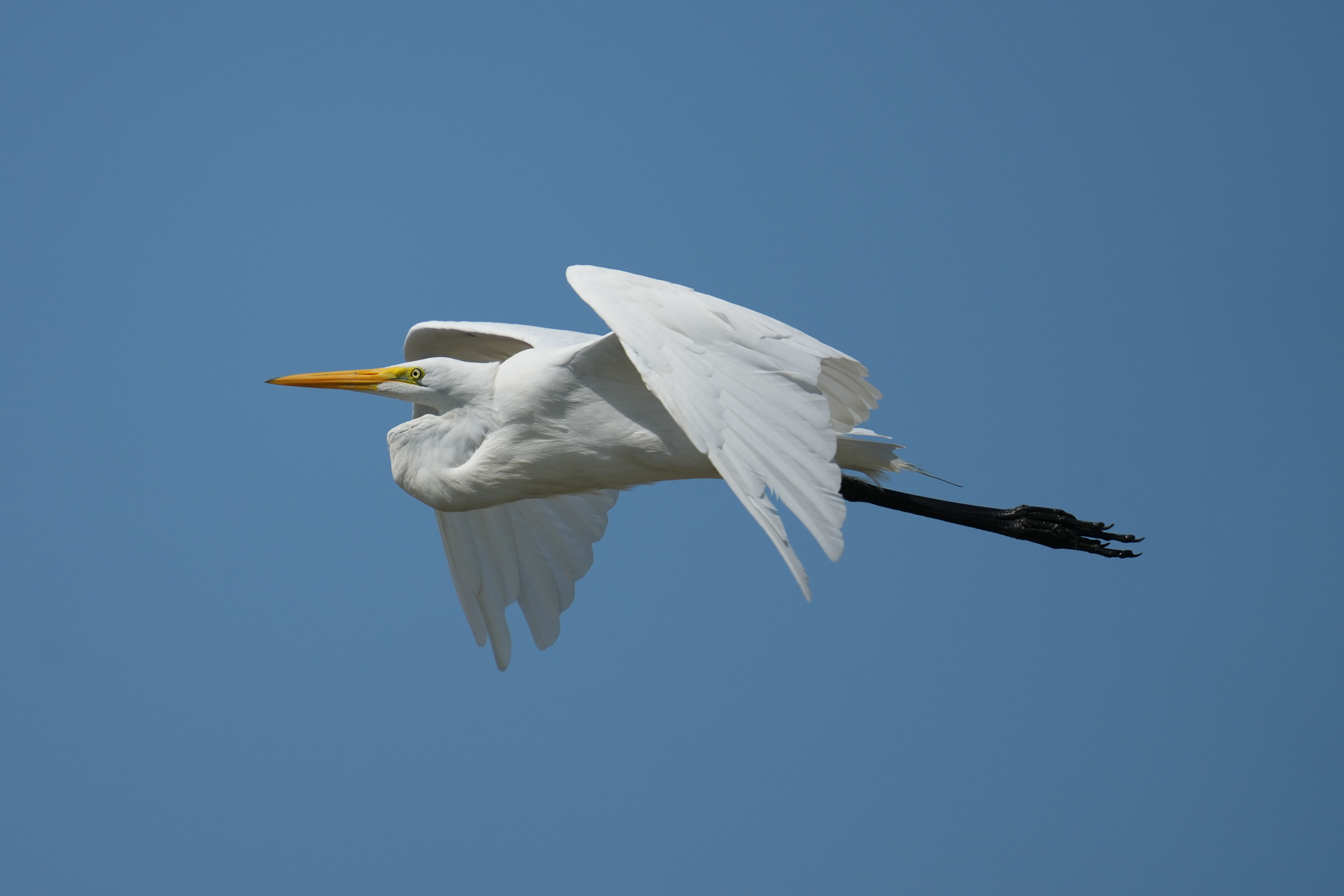Baylands Nature Preserve