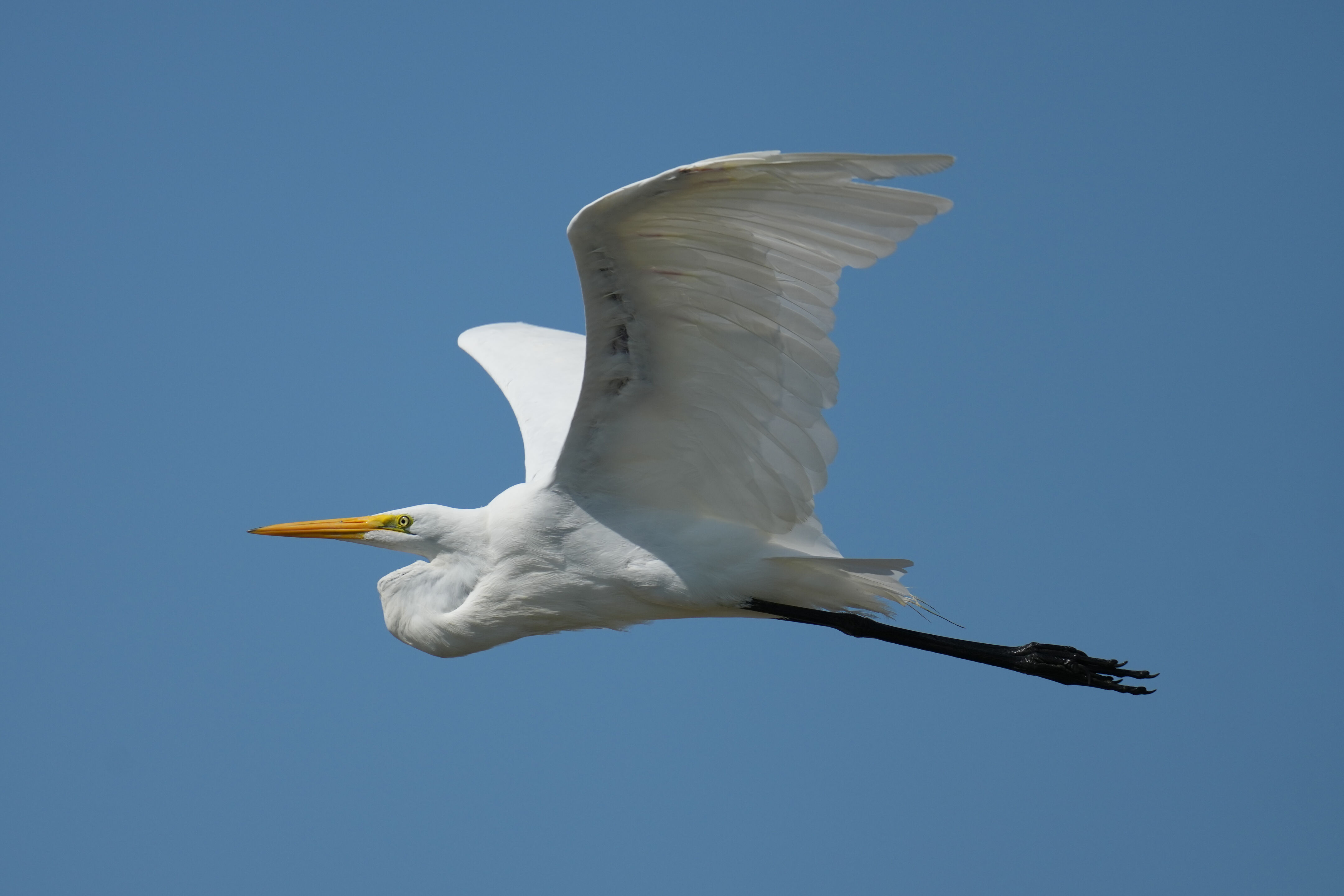 Baylands Nature Preserve