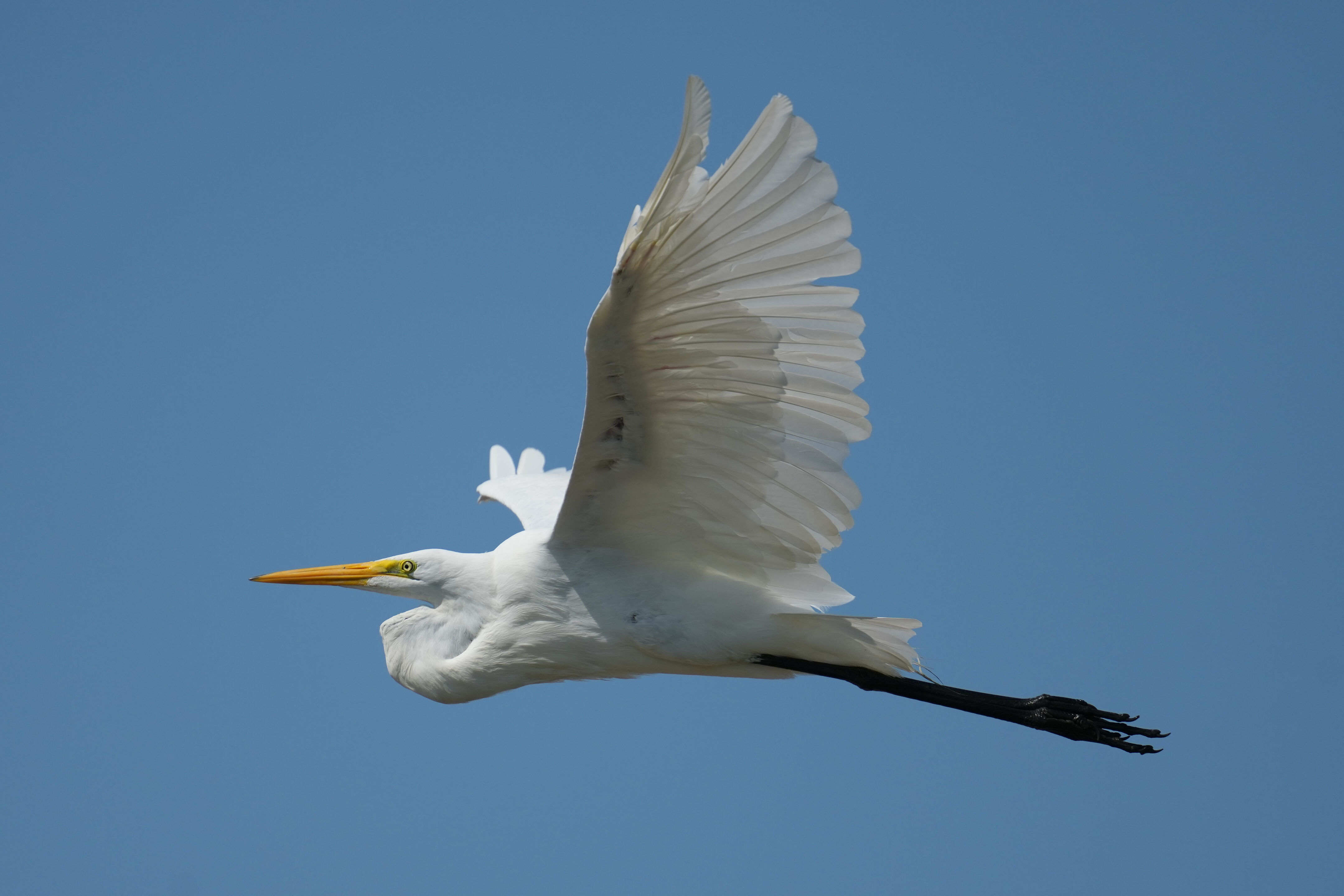 Baylands Nature Preserve