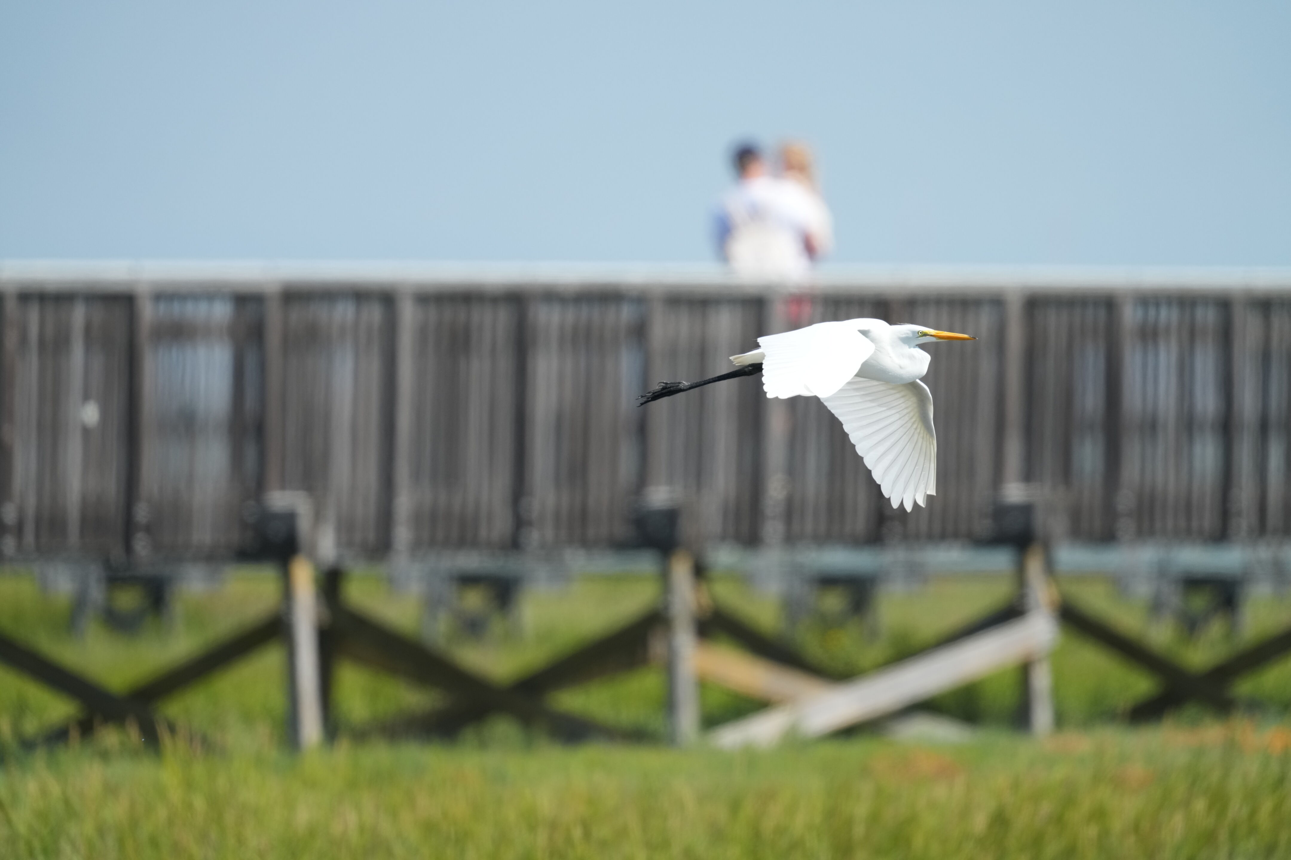 Baylands Nature Preserve