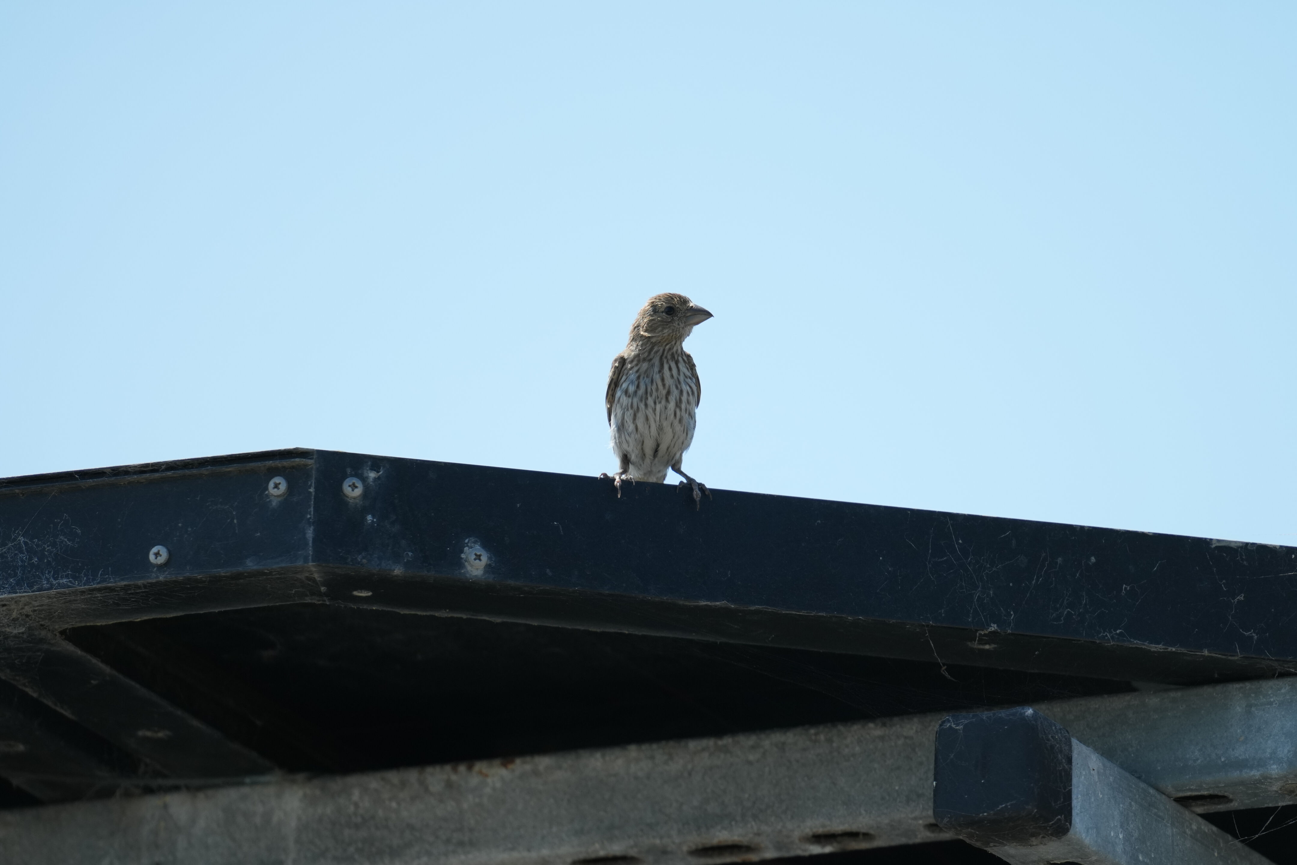 Baylands Nature Preserve