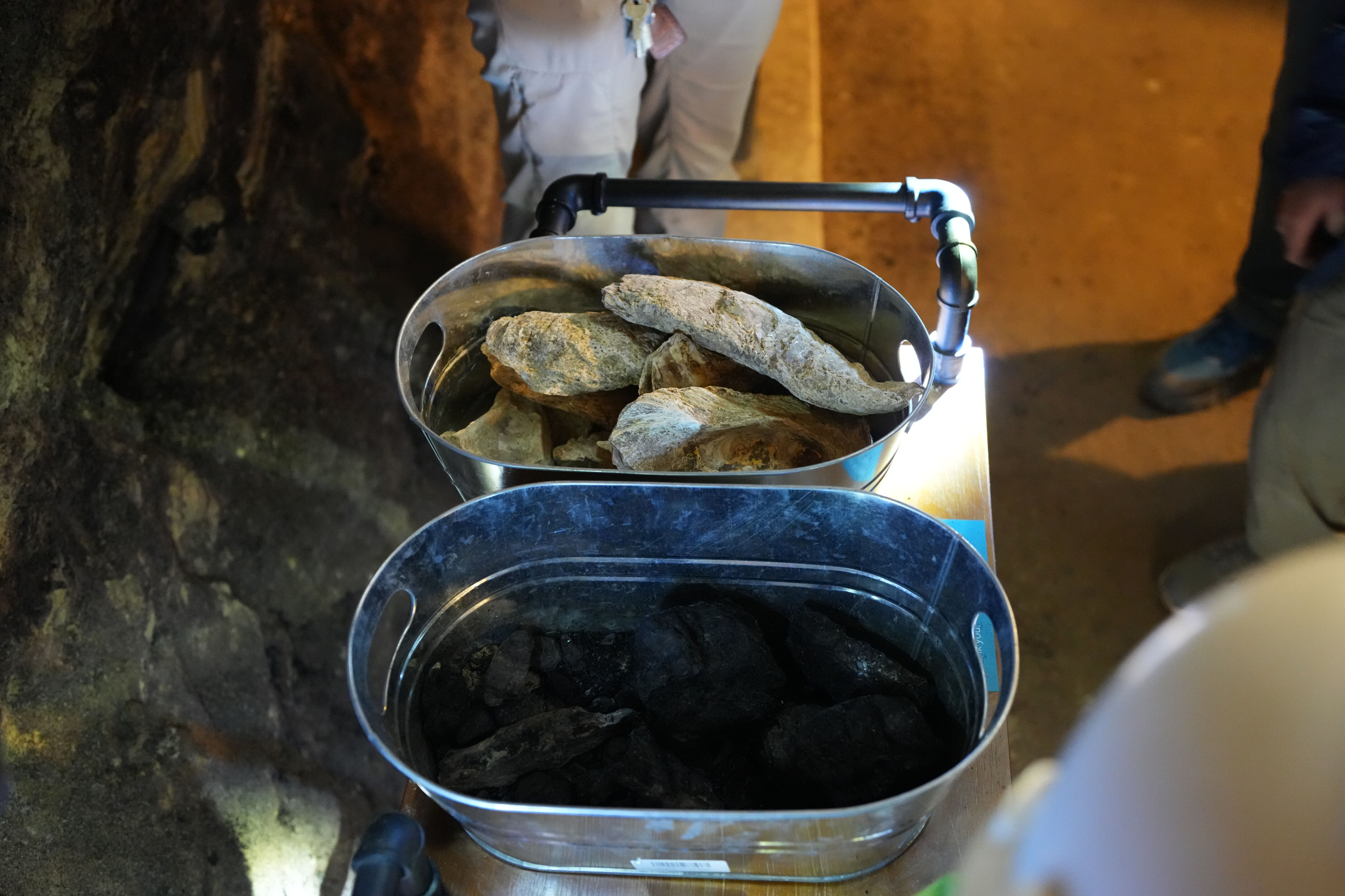 Black Diamond Coal Mine Experience