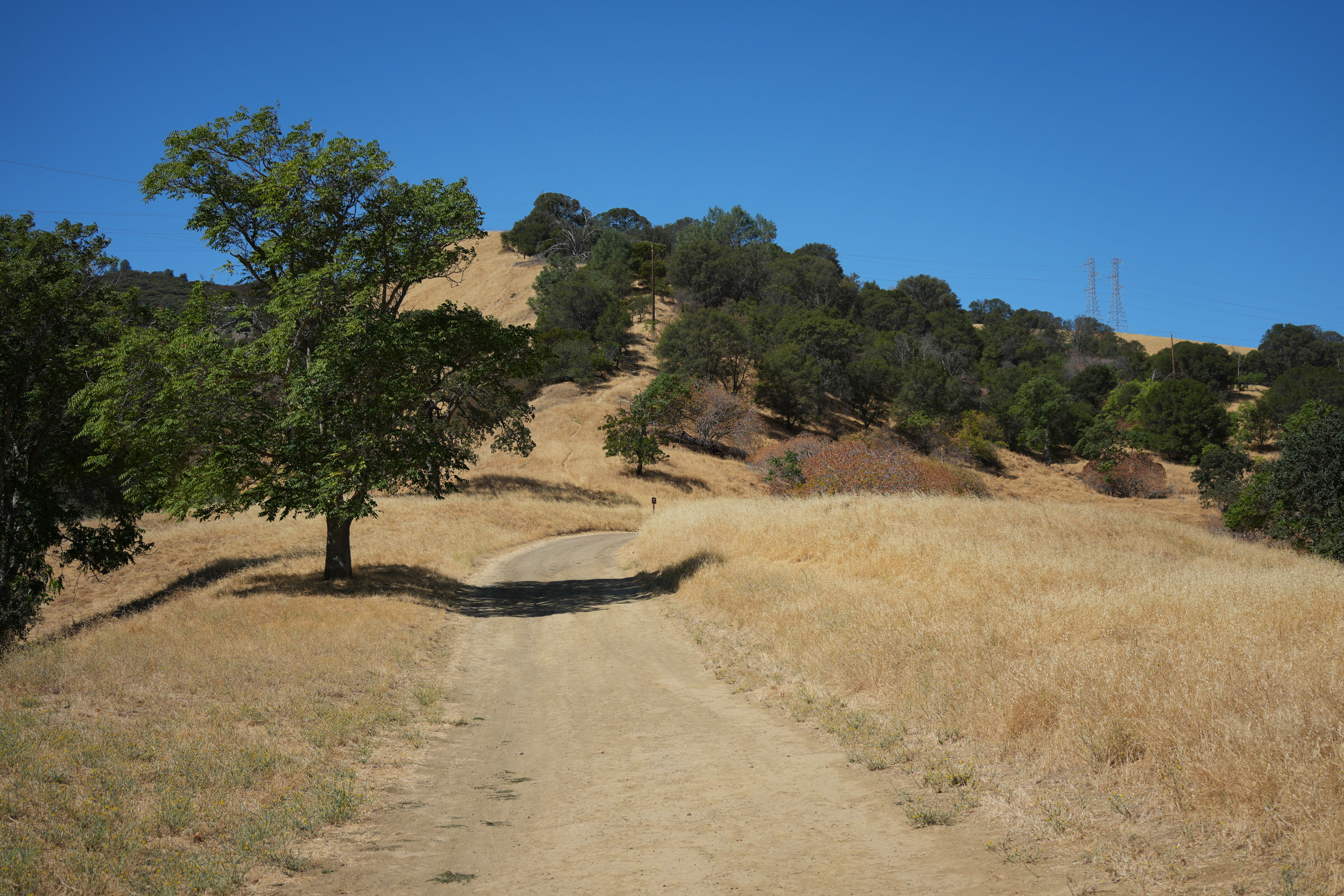 Black Diamond Mines Regional Preserve